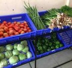 Prakash Fresh Fruits And Vegetables Shop