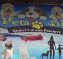 Pets 4U