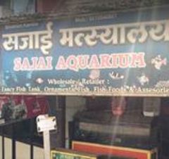 Sajai Aquarium & Pet Shop