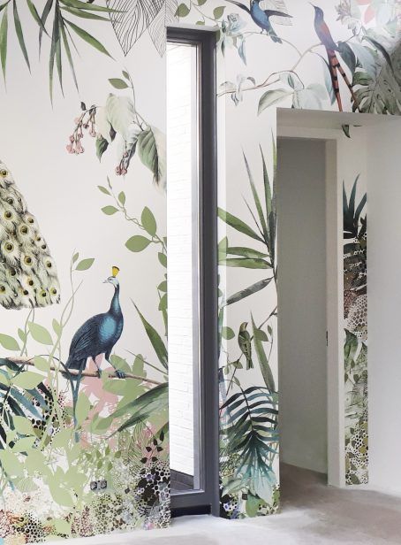 behang tropische vogels