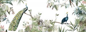 tropische vogels behang
