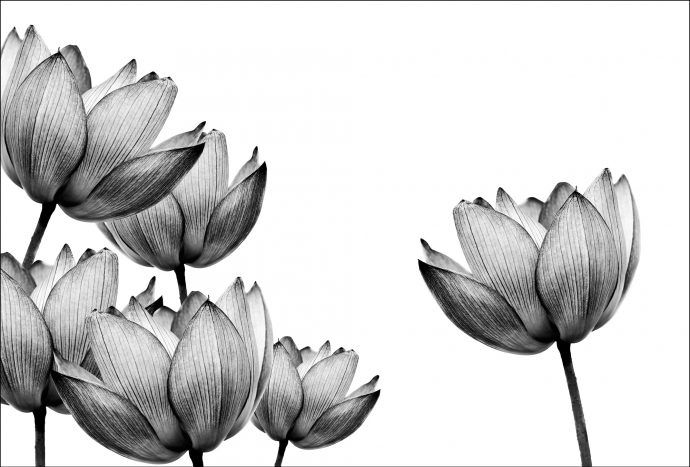 zwart wit behang kopen