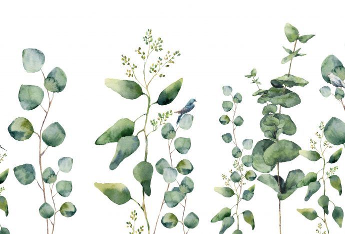 planten behang