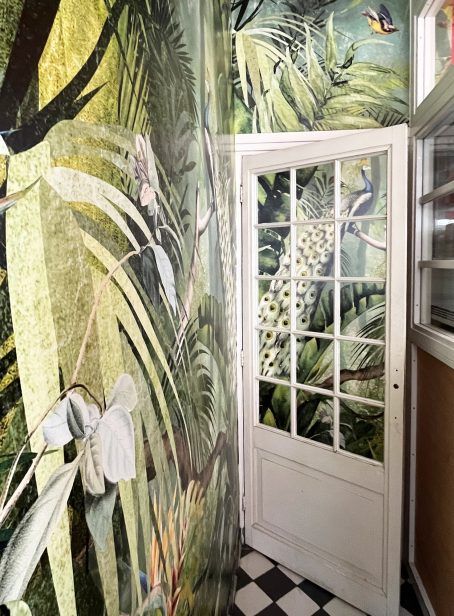 behang paradijsvogels