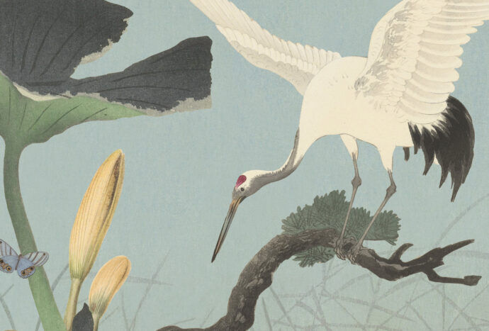 kraanvogels op behang