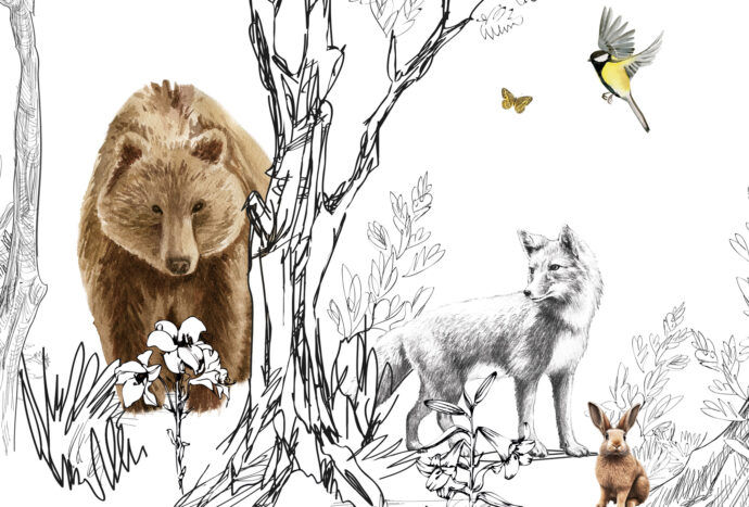 behang voor kinderkamer