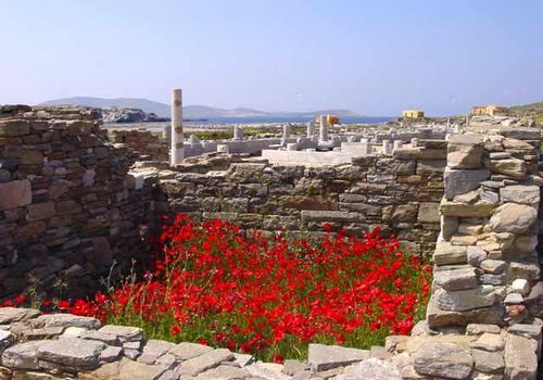 Guía de Delos: La isla sagrada de Apolo