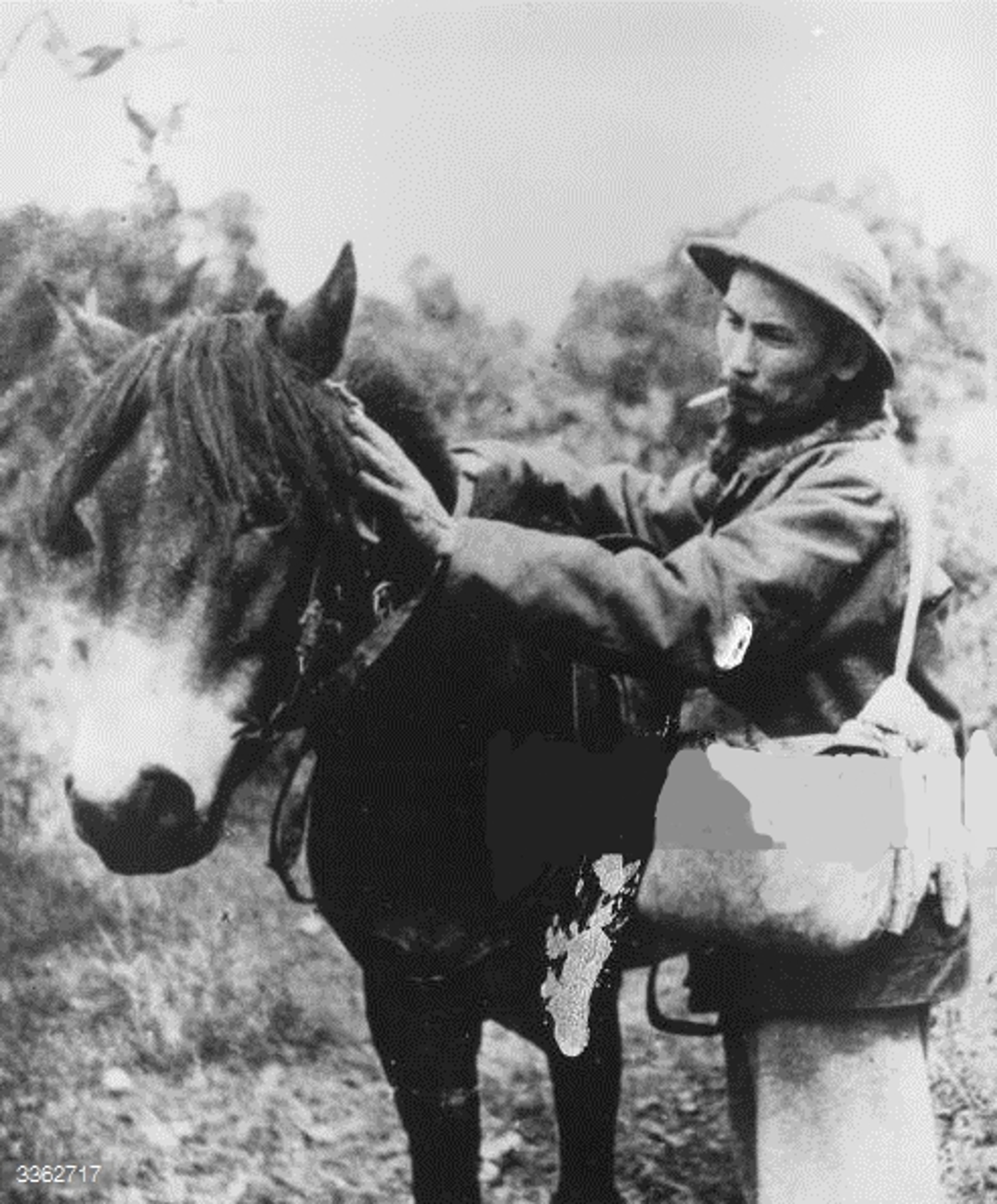 An older man in a military-style jacket standing next to a horse in a rural outdoor setting.