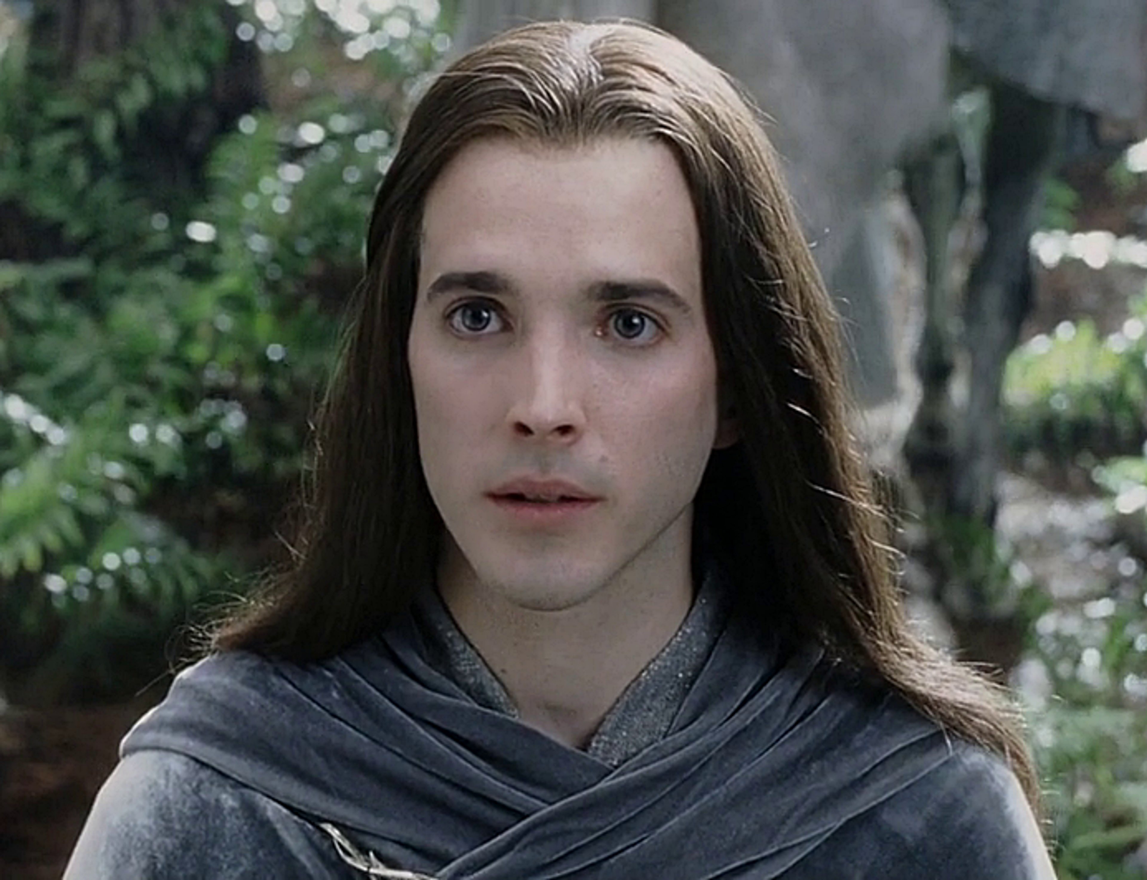 A mysterious and captivating elf with long dark hair and piercing eyes, wearing a gray cloak in a forest setting.