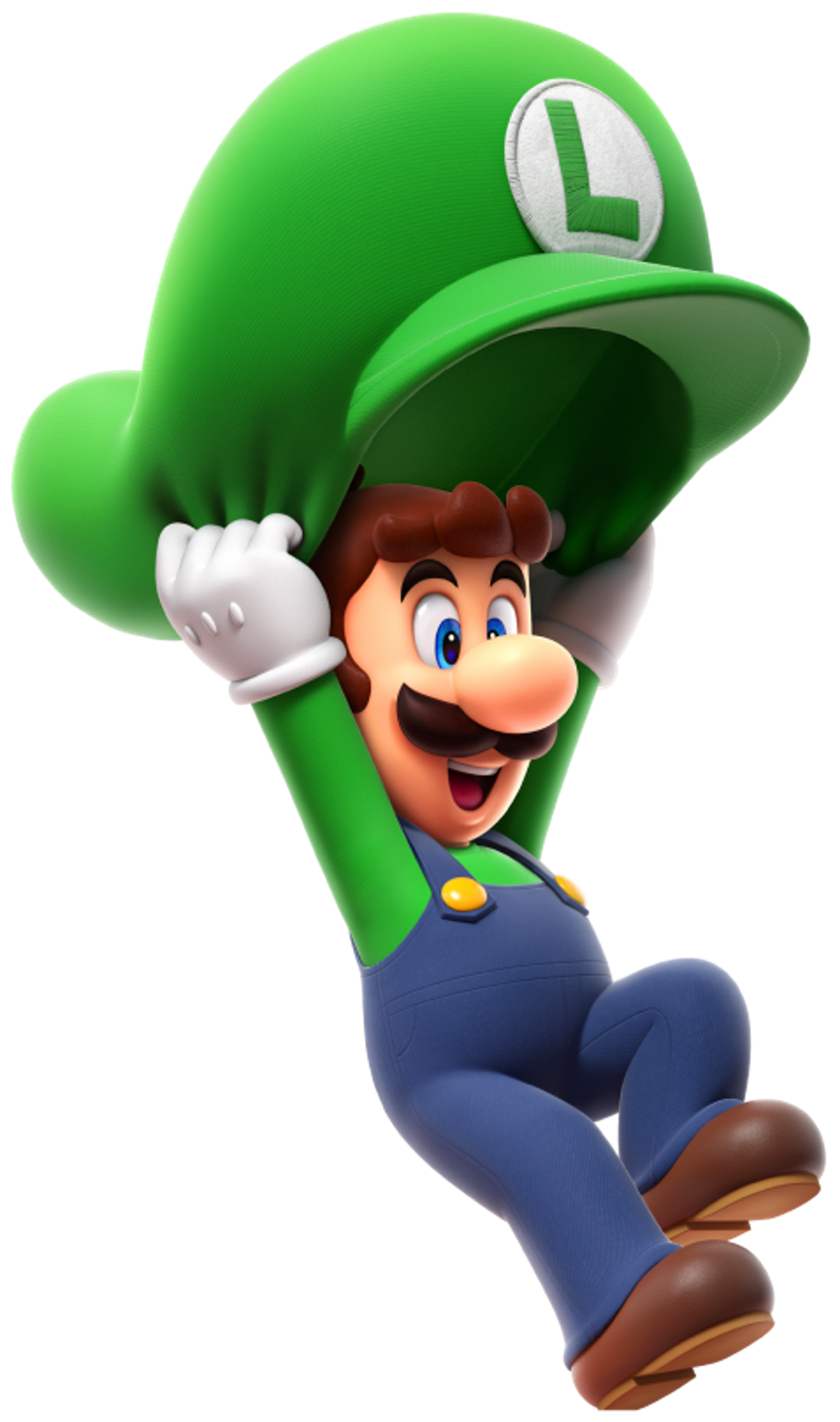 Born in the Mushroom Kingdom alongside his twin Mario,Has lived in Mario's shadow his whole life,Cowardly yet brave when it counts,Fought ghosts in a haunted mansion,Races go karts as a hobby,Has a friendly rivalry with Waluigi