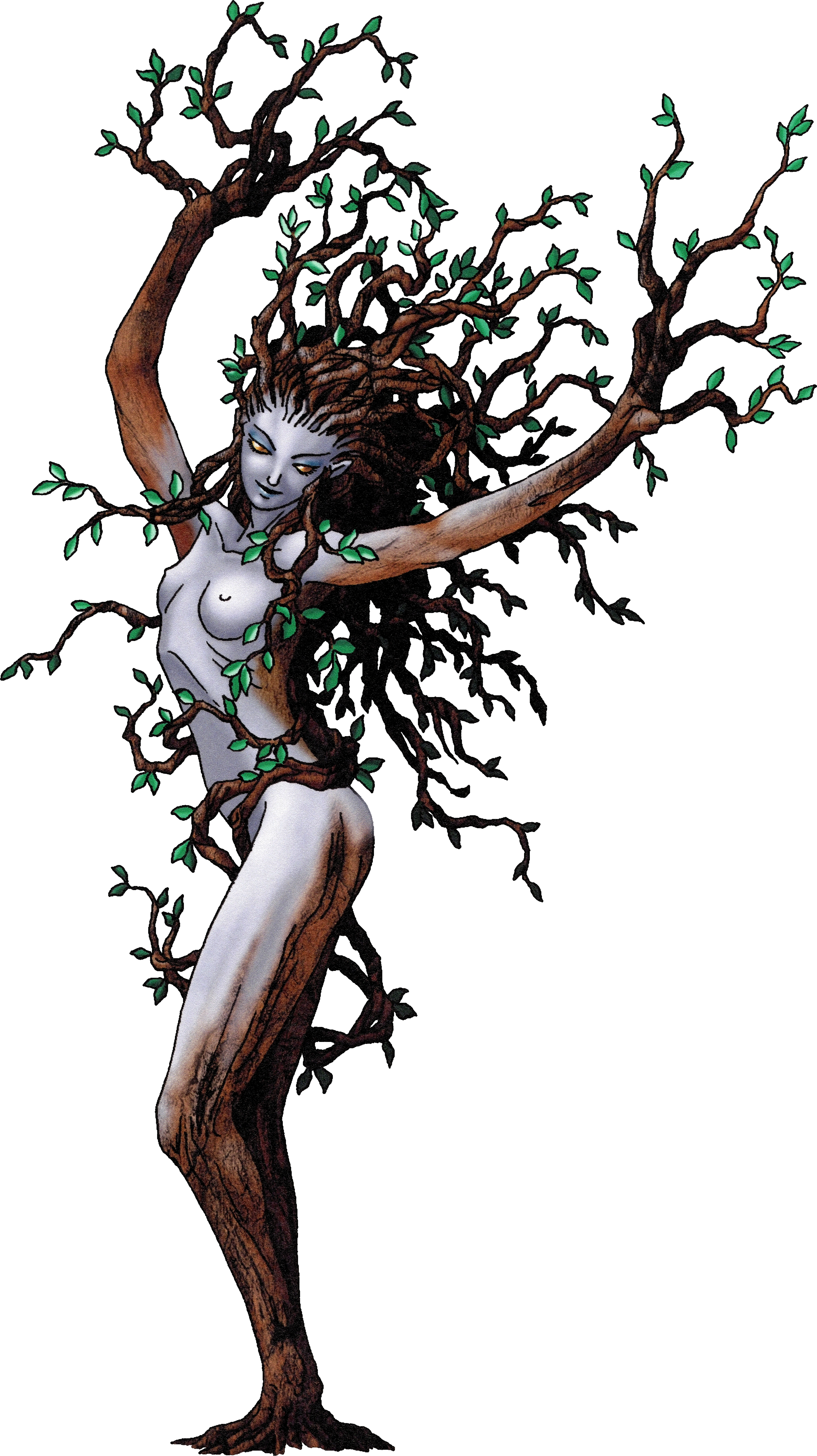 A young woman with pale skin whose lower body transforms into a laurel tree trunk, with branches and leaves sprouting from her arms and hair