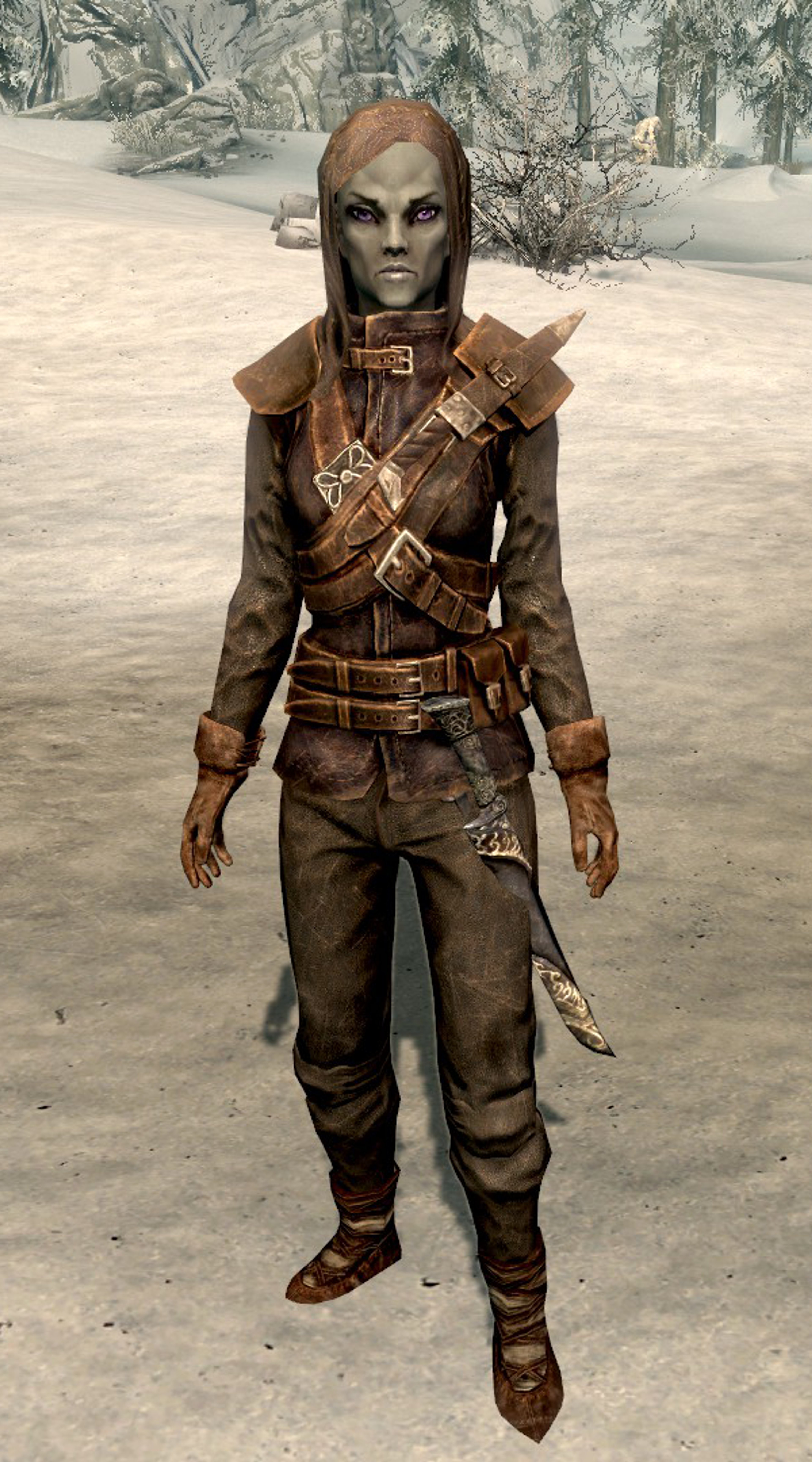 A Dunmer character in a brown leather outfit, with violet eyes and a serious expression.