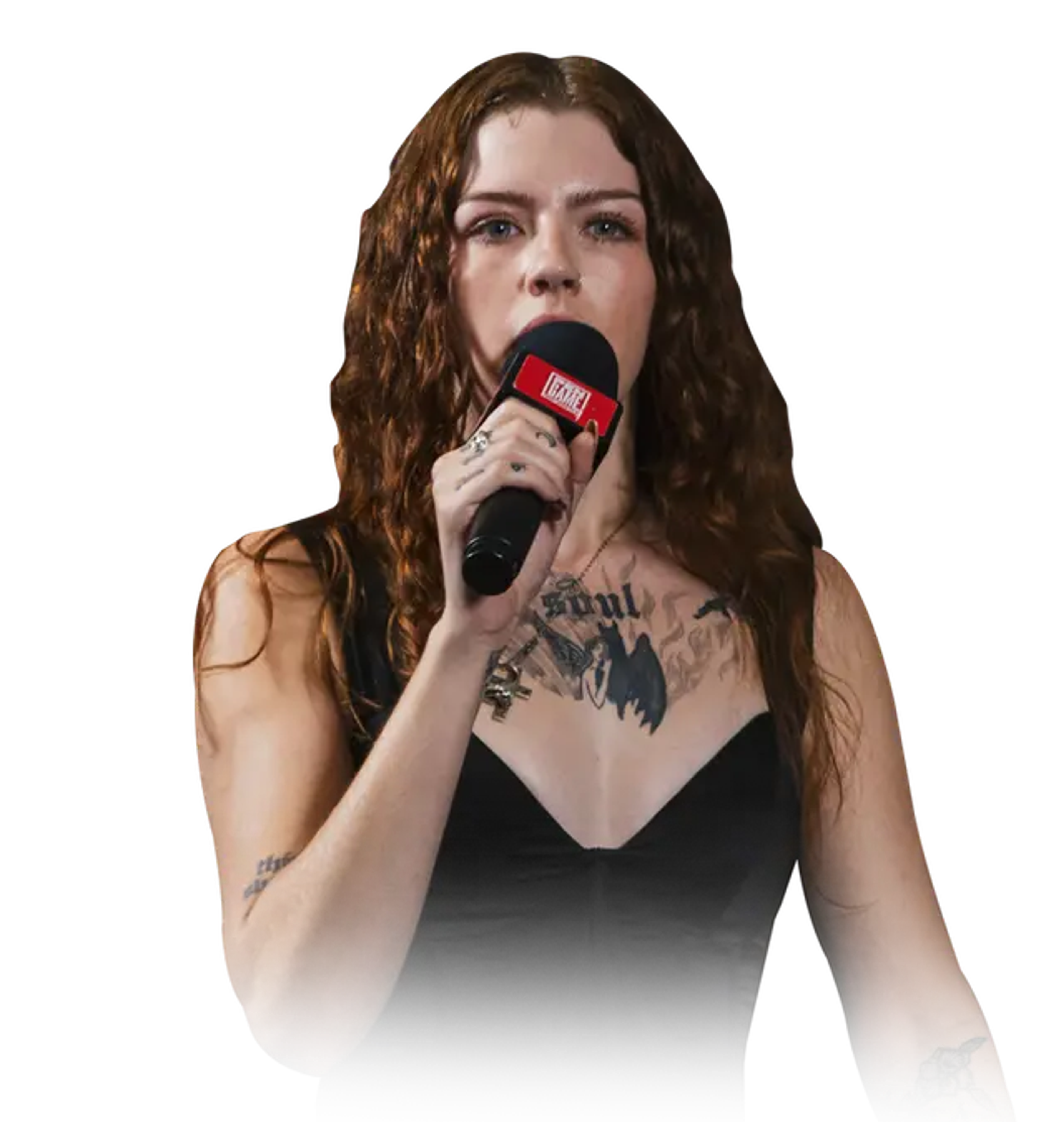 A picture of Missink