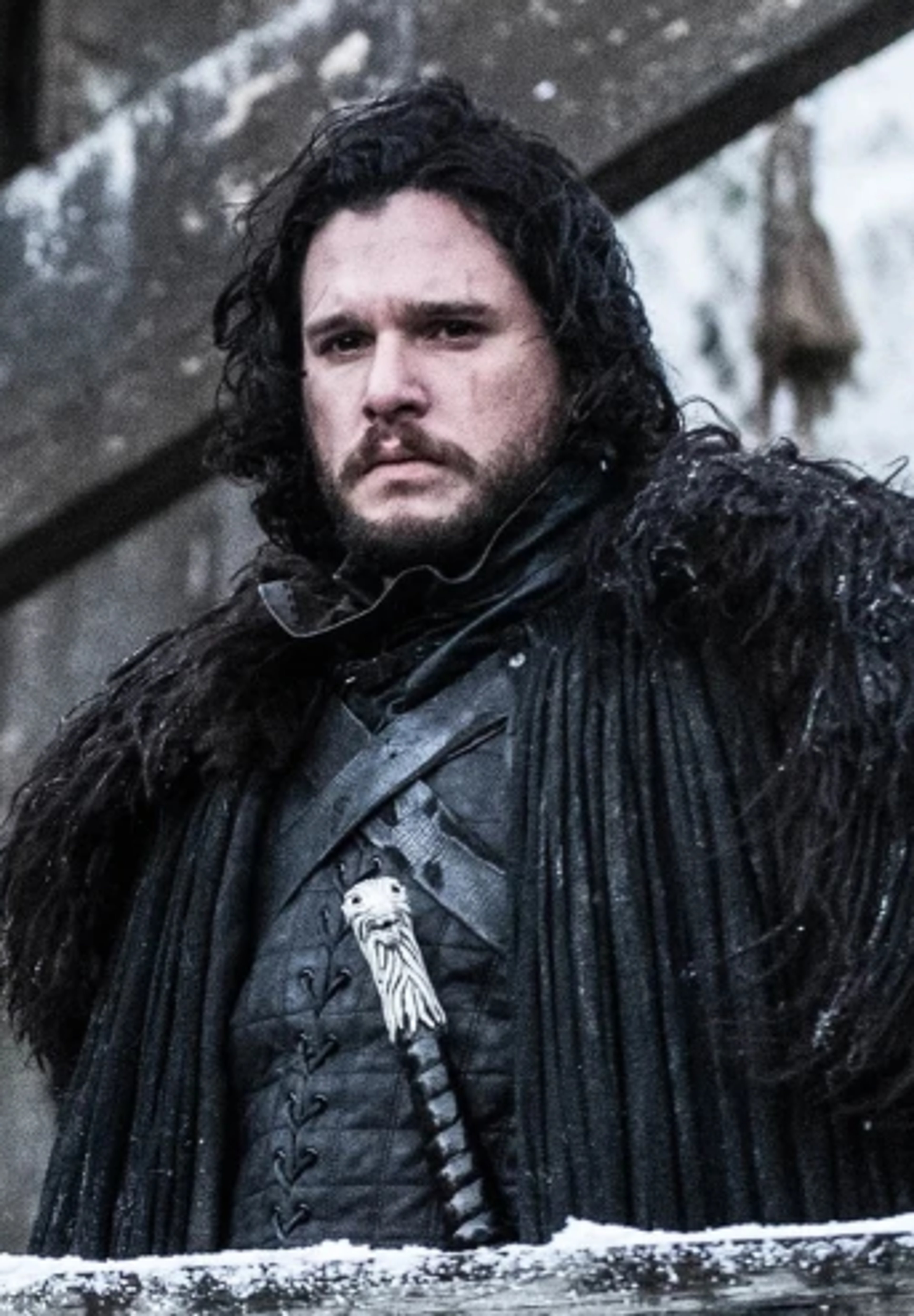 Born as Aegon Targaryen, the son of Lyanna Stark and Rhaegar Targaryen,Raised by Eddard Stark as his bastard son, Jon Snow, to protect him from Robert Baratheon's wrath,Joined the Night's Watch, eventually becoming the 998th Lord Commander,Resurrected by Melisandre after being murdered in a mutiny,Retook Winterfell from the Boltons, was declared King in the North