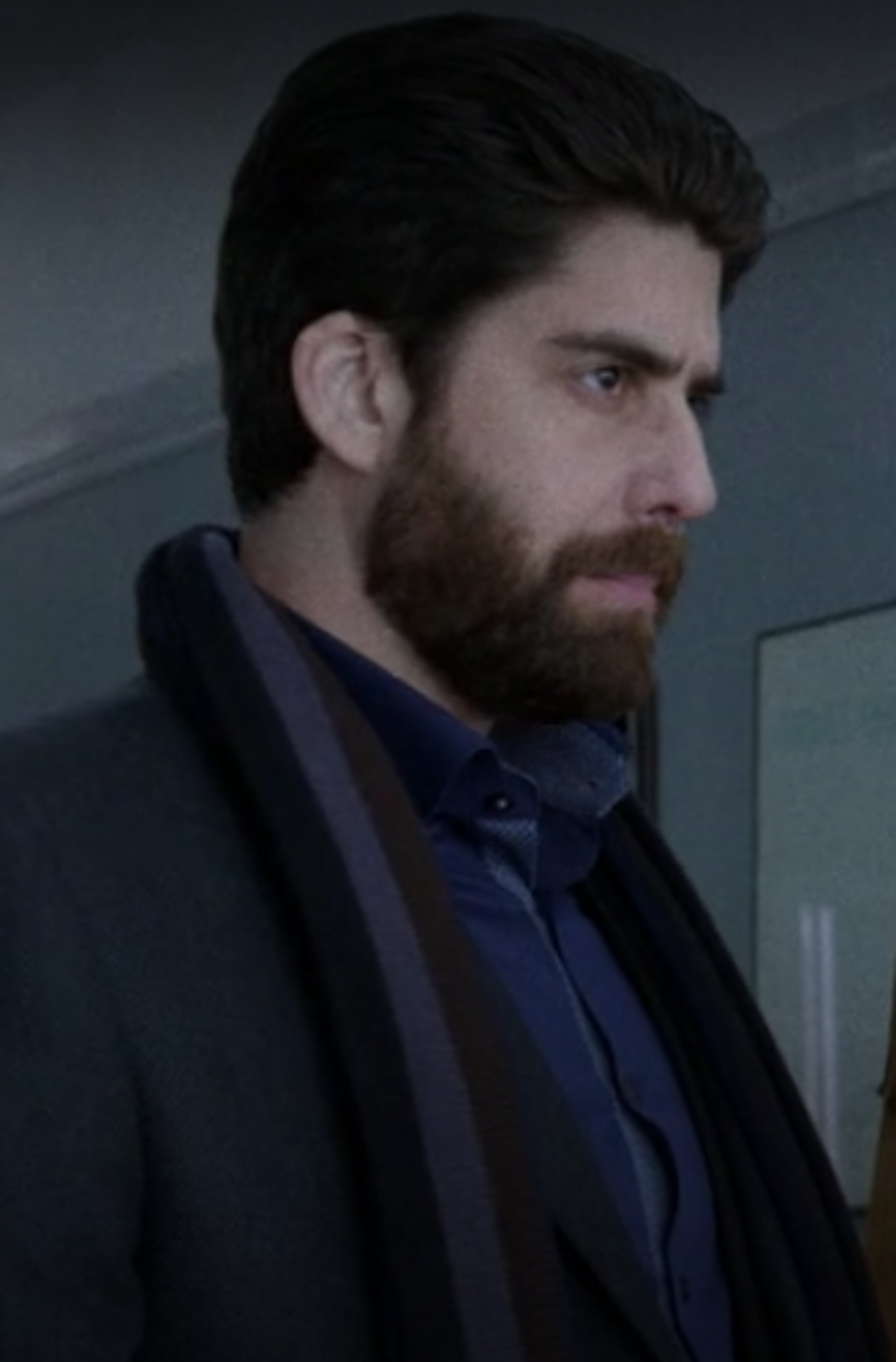 A middle-aged man with a beard wearing a dark blue suit and tie, with a serious expression on his face.