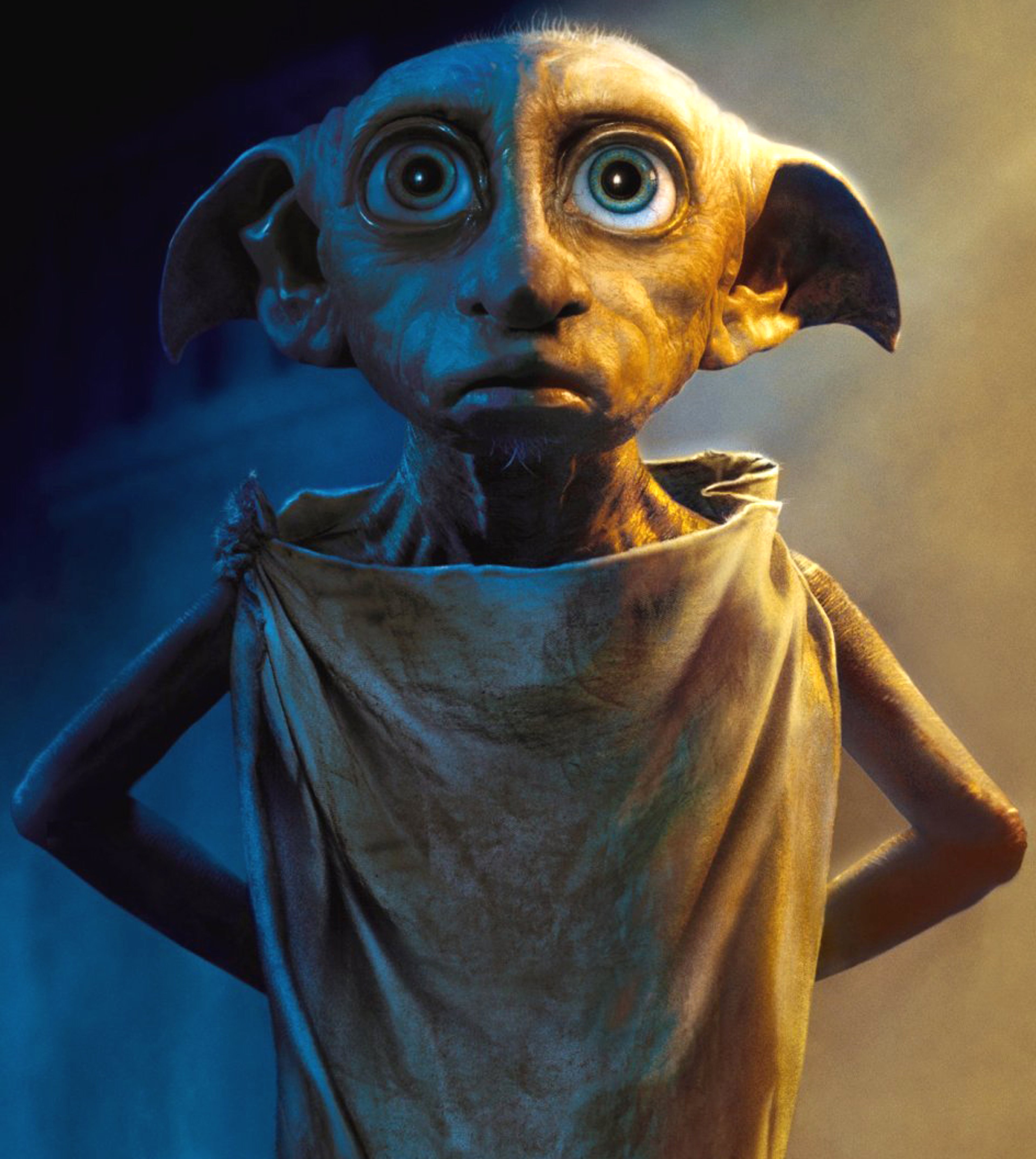A house-elf character from the Harry Potter universe, Dobby, with large eyes, bat-like ears, and a pencil-shaped nose.
