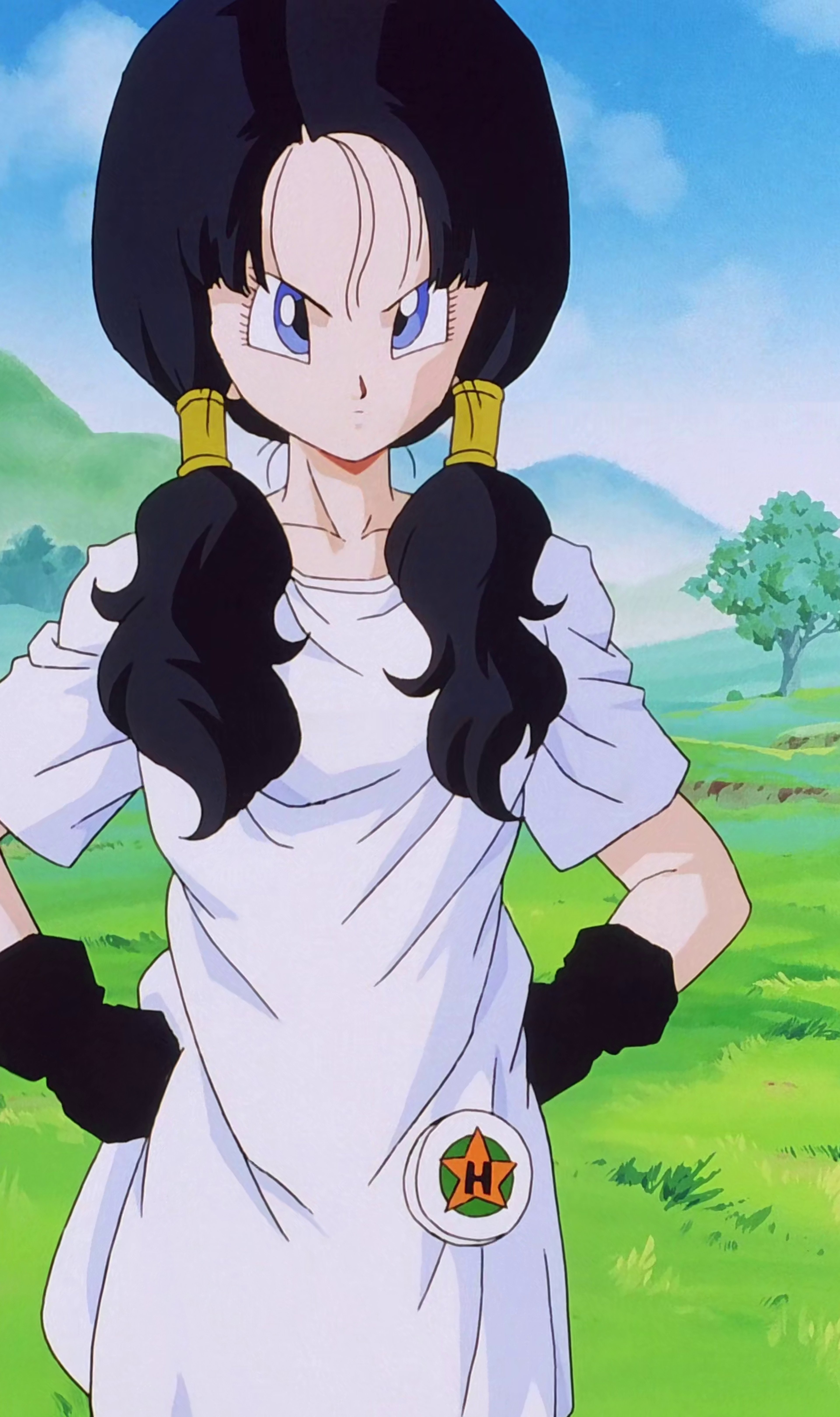 An anime-style character named Videl with short black hair in pigtails, wearing a white shirt with a red logo.