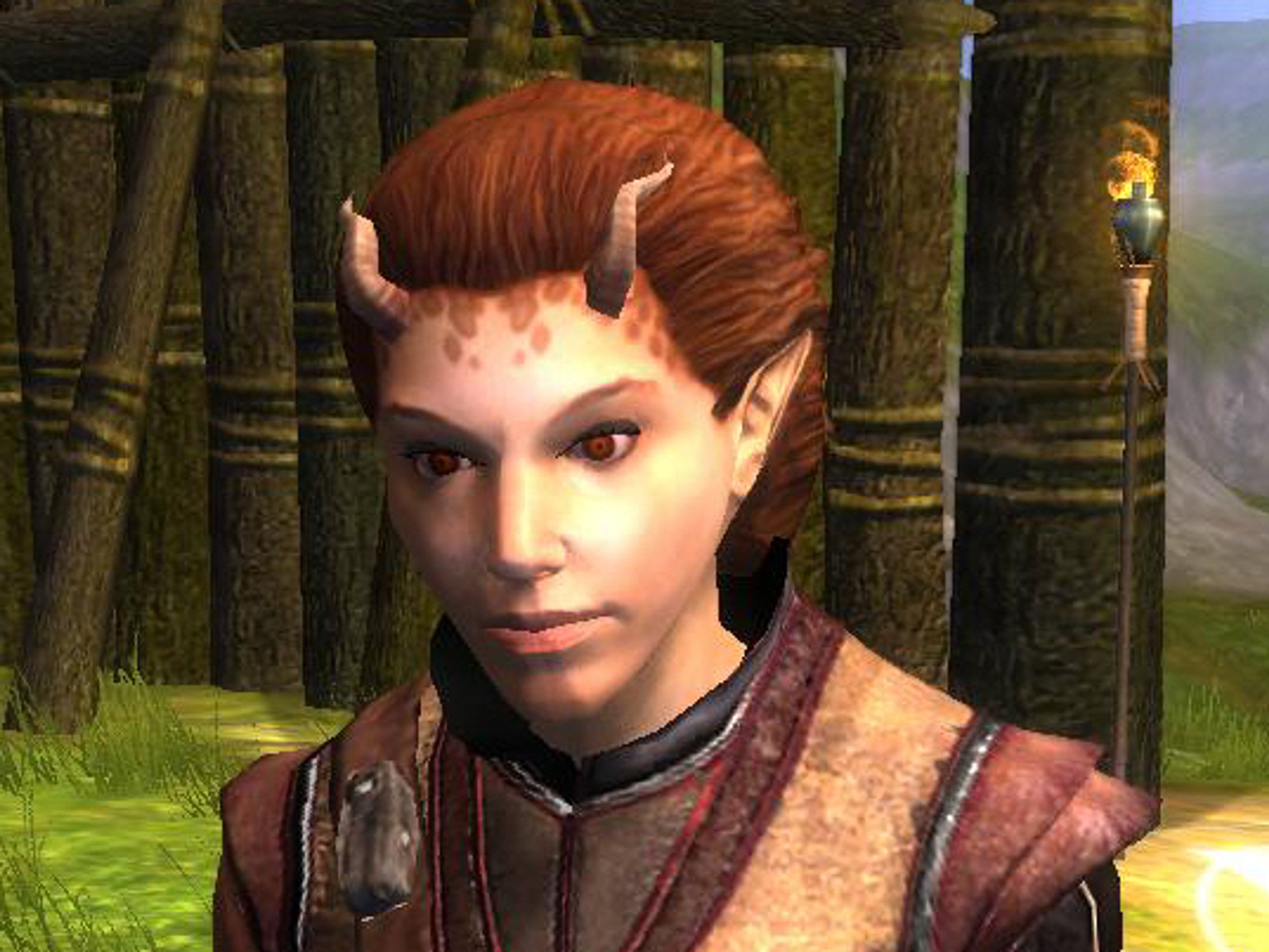 A female tiefling character with reddish-brown skin, small horns, and a long spiked tail.