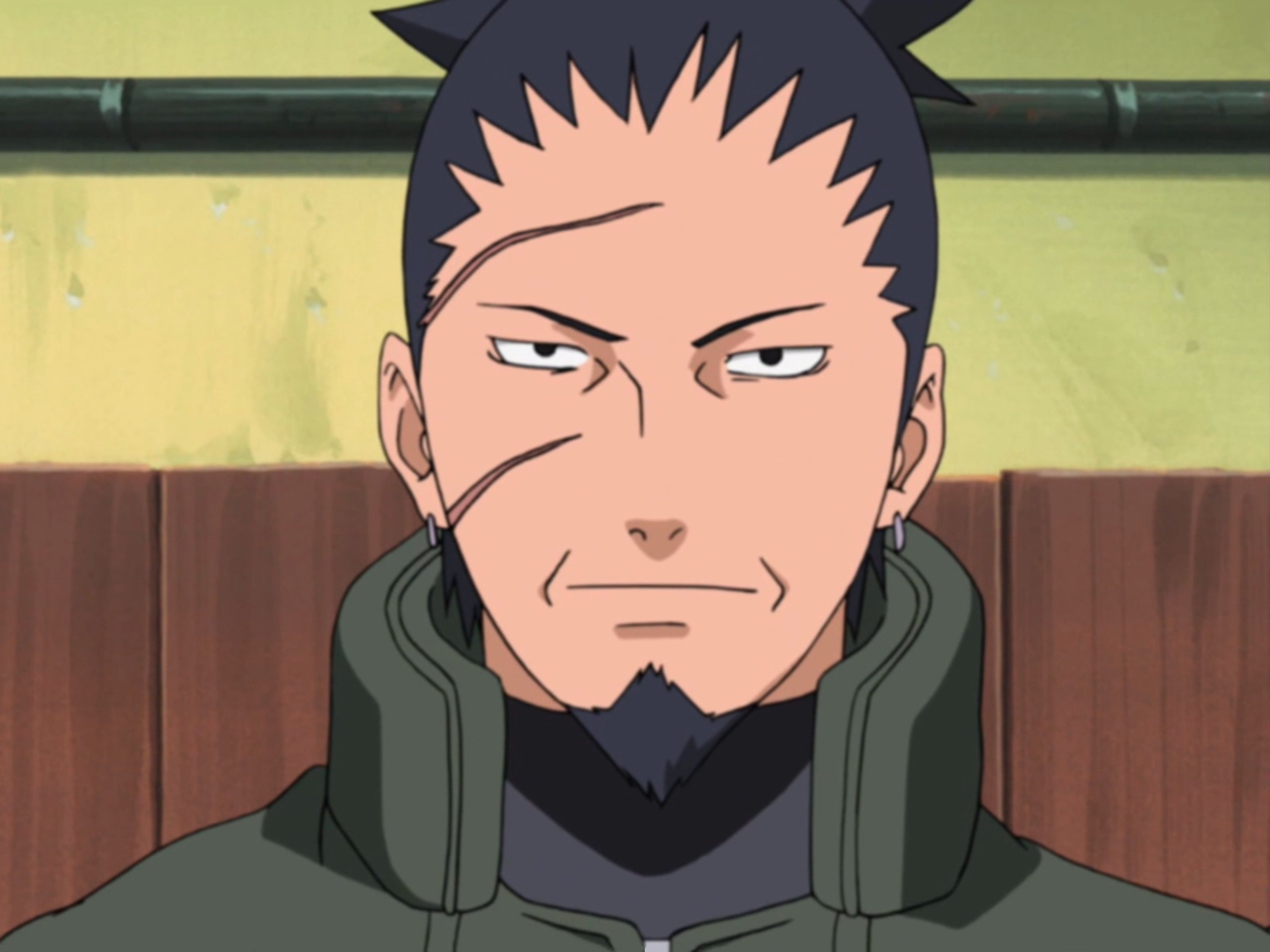 A serious-looking middle-aged man with spiky dark hair and a goatee, wearing a green flak jacket and dark clothing.