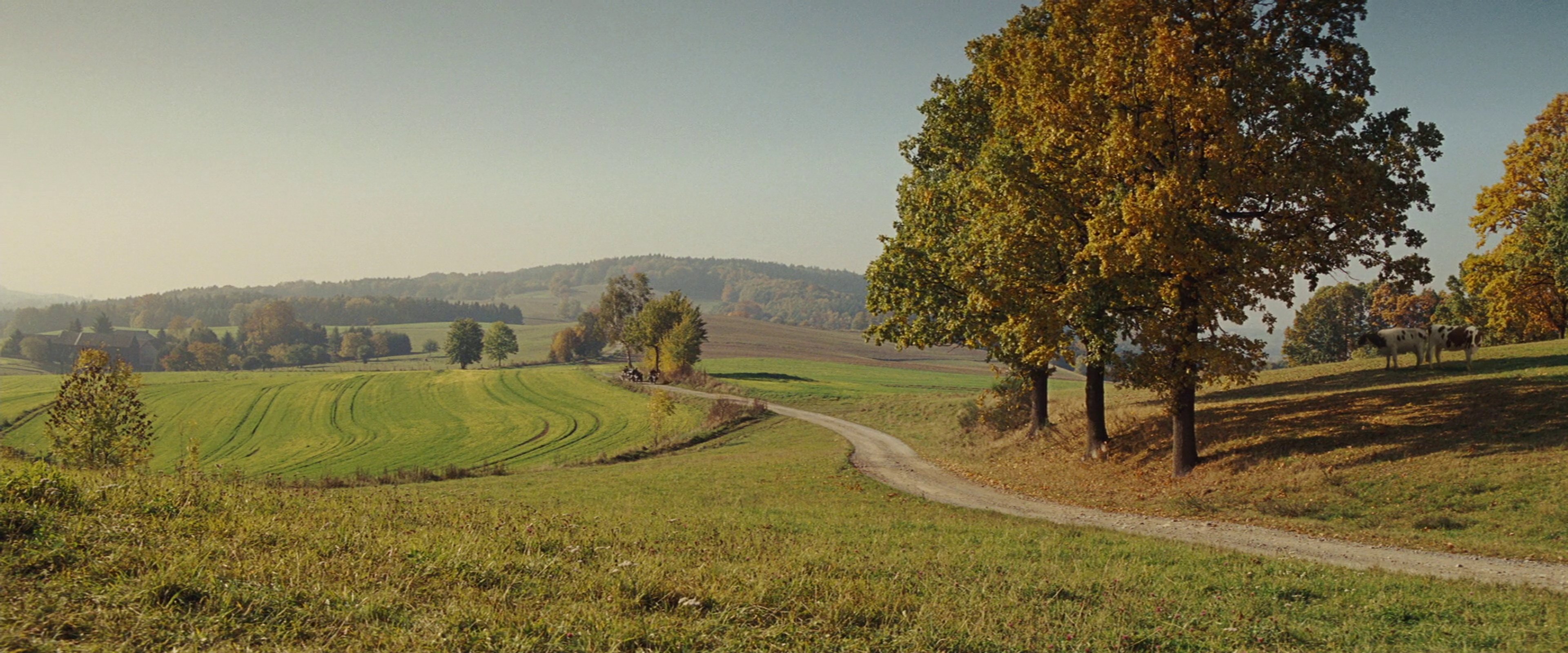 A scenic rural landscape with hills, trees, and a dirt road