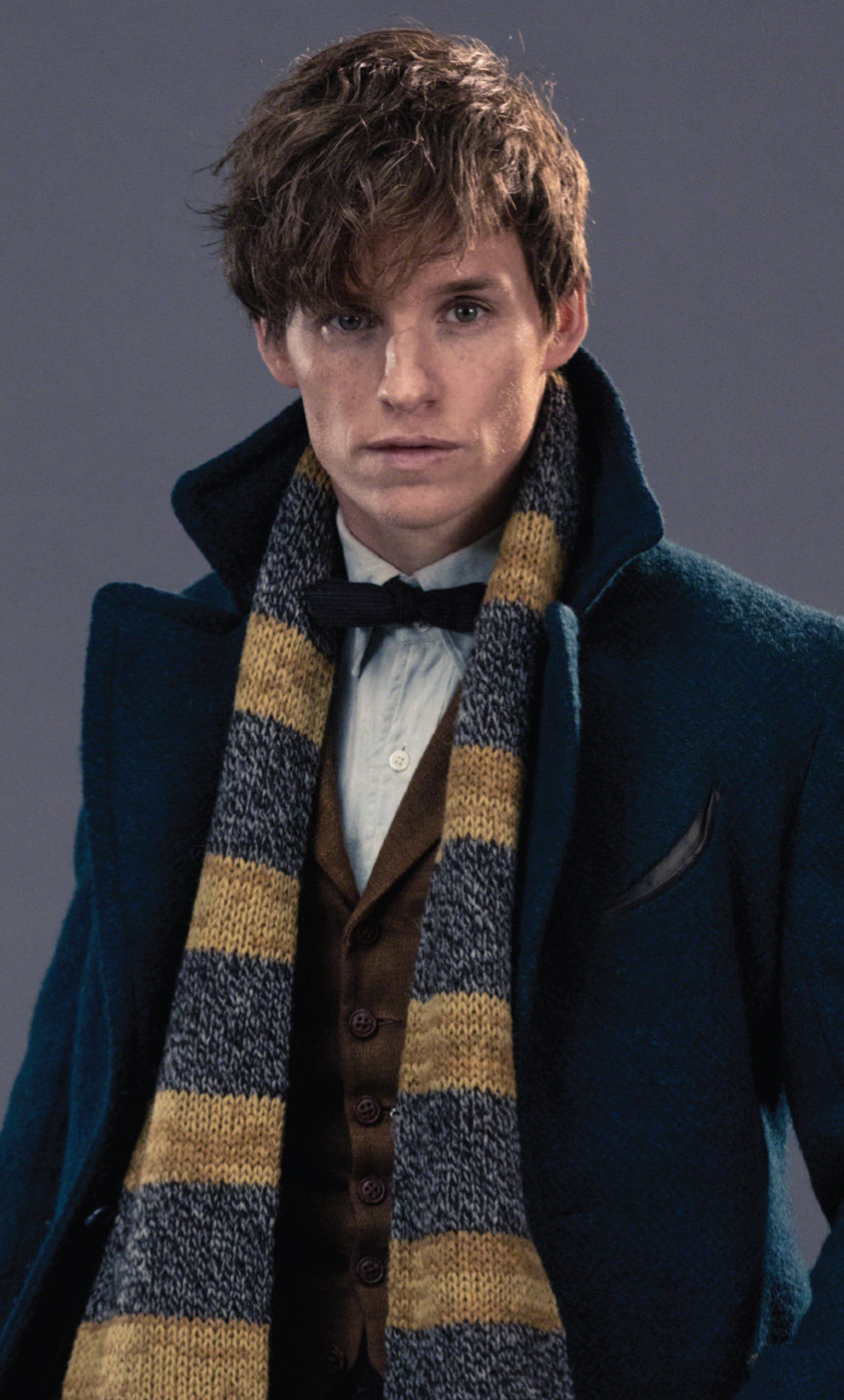 A portrait of the character Newt Scamander, a wizard and Magizoologist from the Wizarding World of Harry Potter.