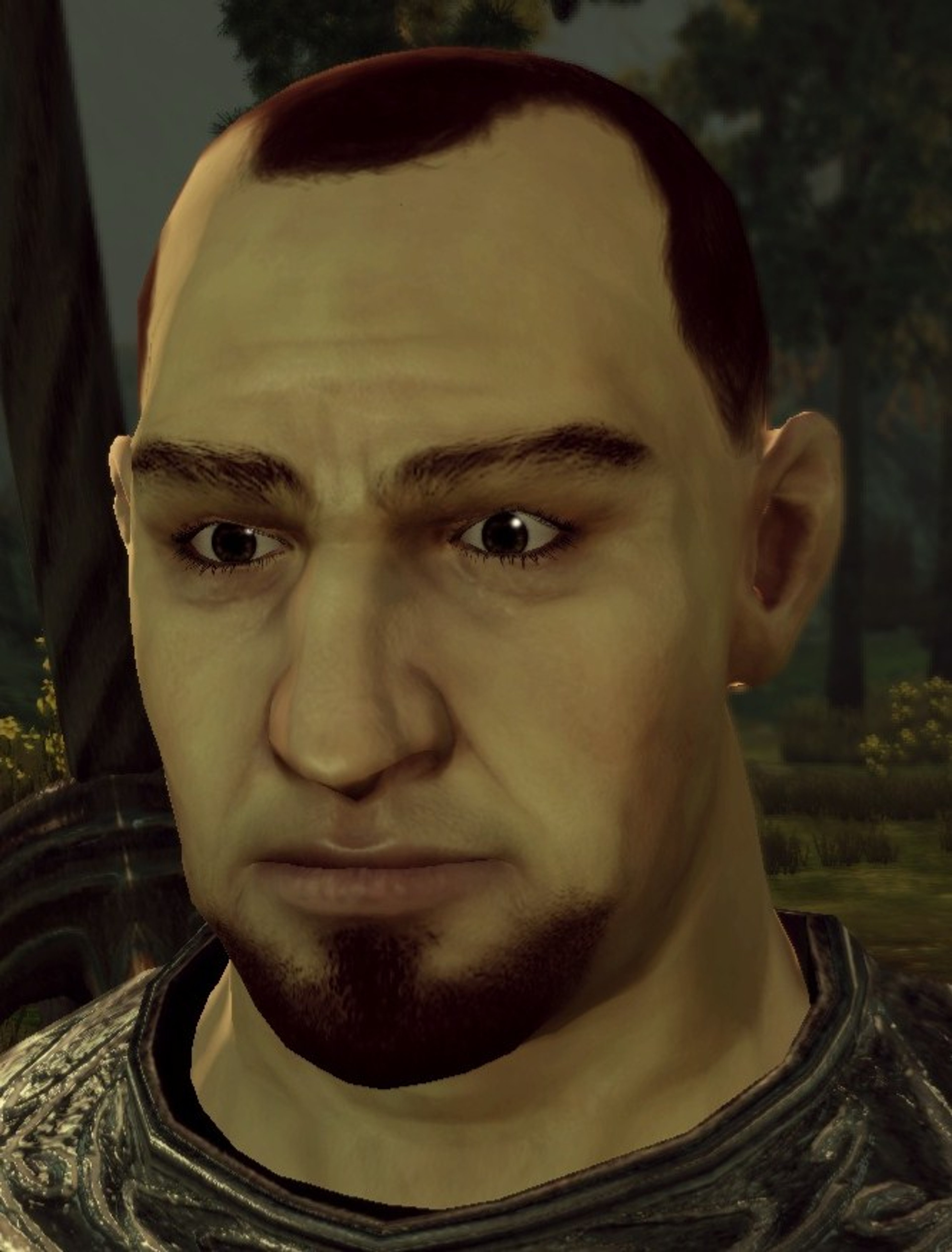 Medieval knight in armor, Grey Warden recruit