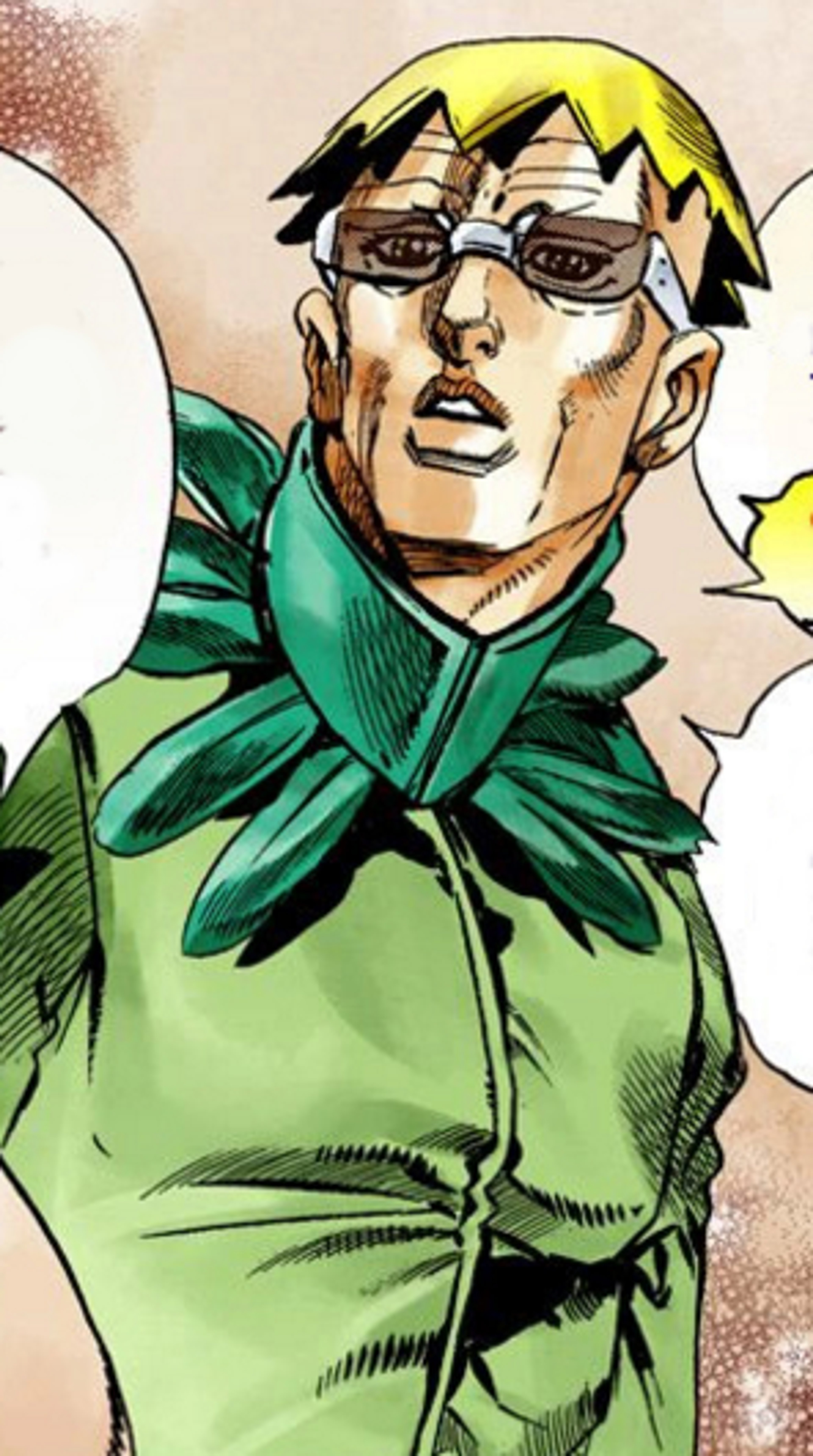 A middle-aged man with distinctive hair and glasses wearing a green jacket