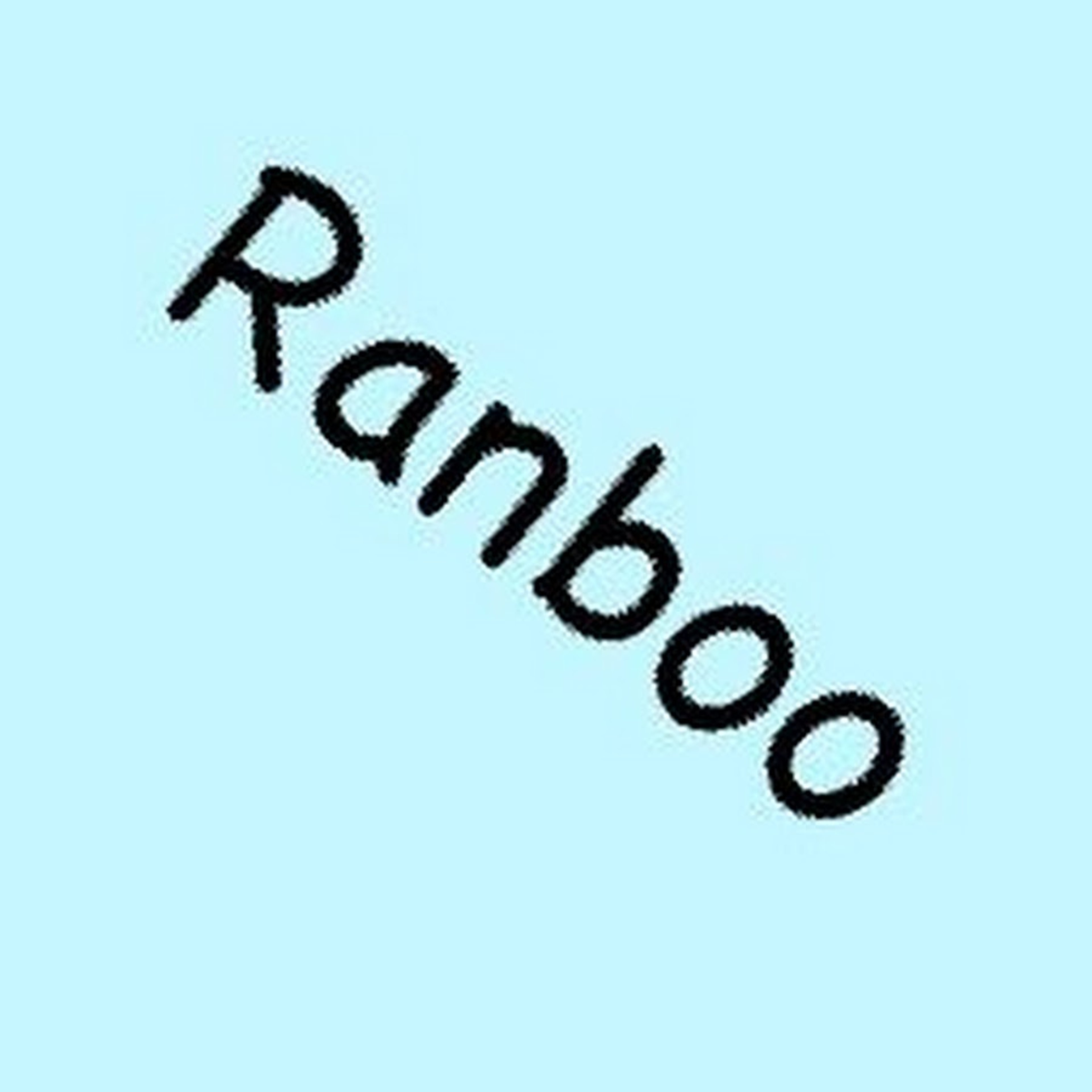 A stylized text logo that reads 'Ranboo' against a light blue background.