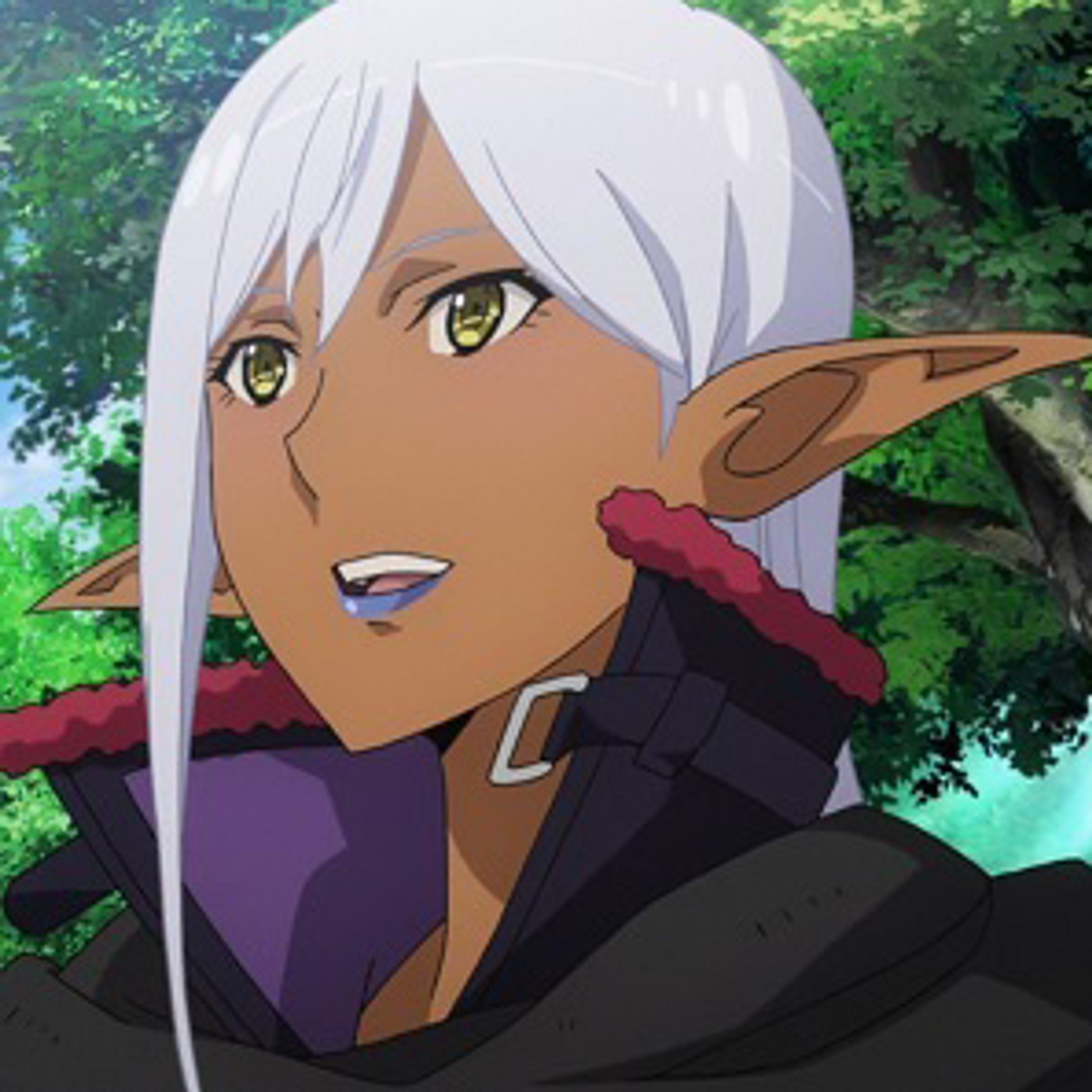 A serious-looking dark elf woman with silver hair and golden eyes