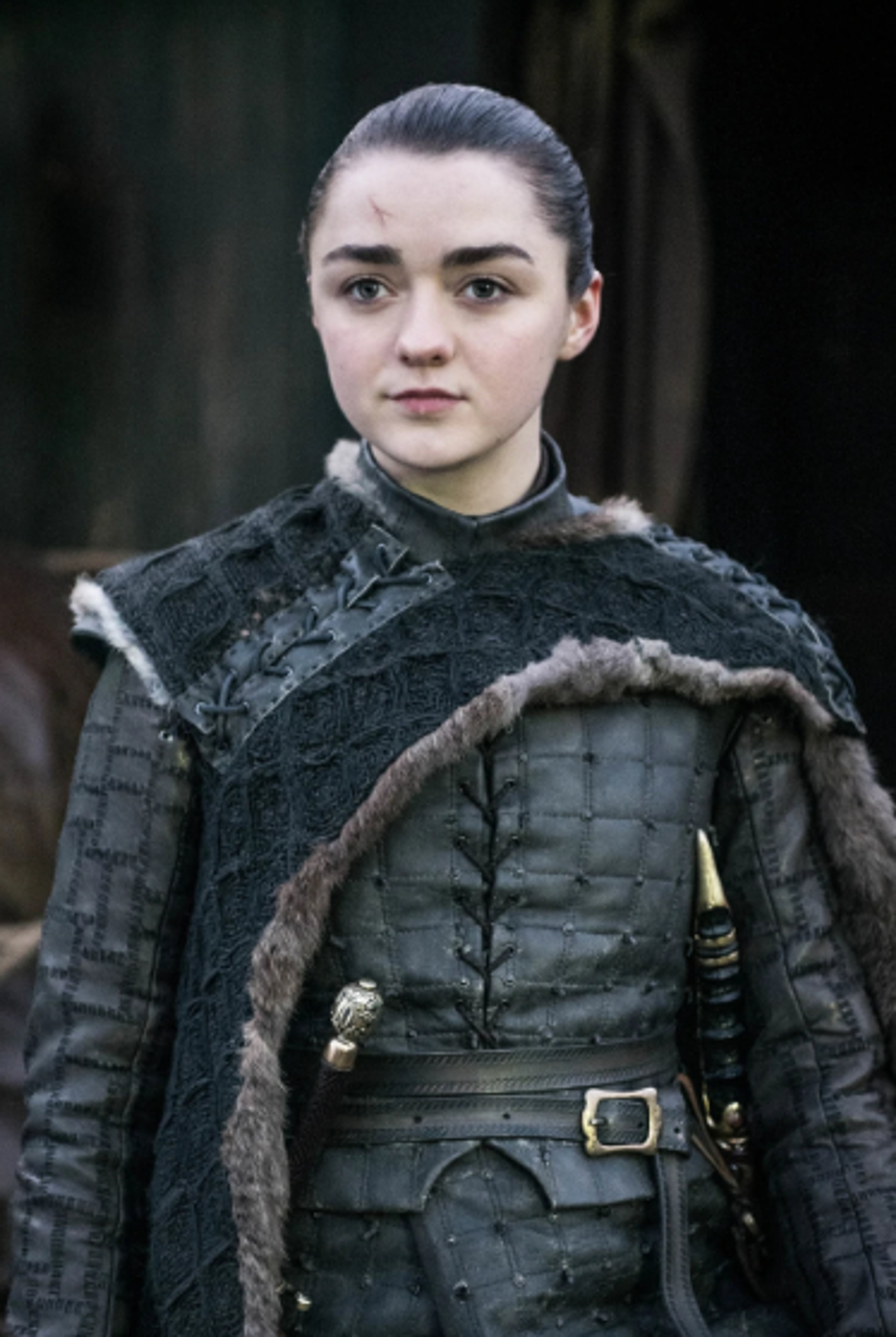 Born as daughter of Lord Eddard Stark, trained in combat from early age.,Witnessed execution of father, sending her on quest for revenge.,Disguised self as boy to evade capture after escape from King's Landing.,Travelled through war-torn countryside with companions.,Trained with Faceless Men assassins in Braavos.,Returned to Westeros to exact vengeance on enemies.