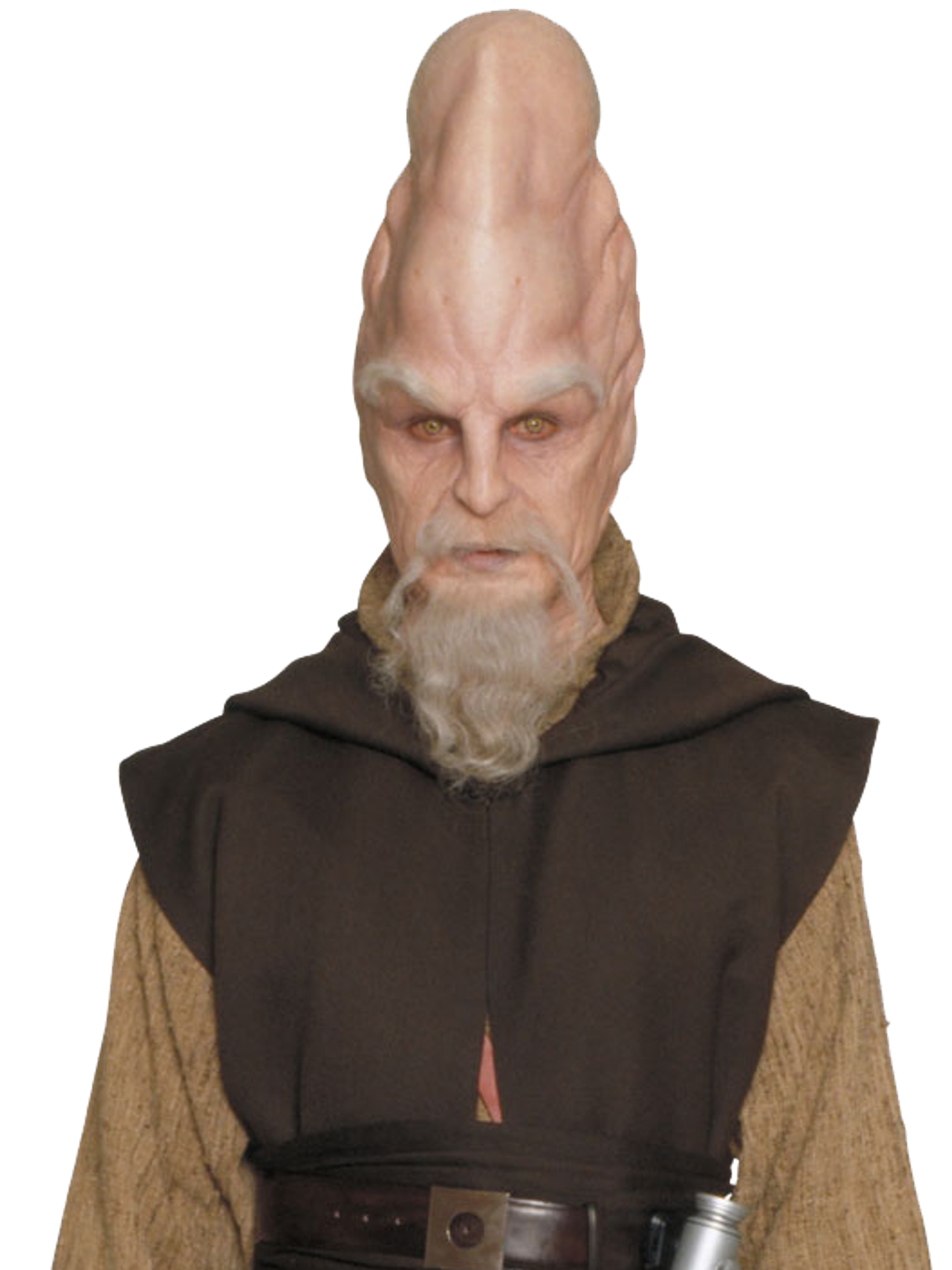 A Jedi Master from the Star Wars universe