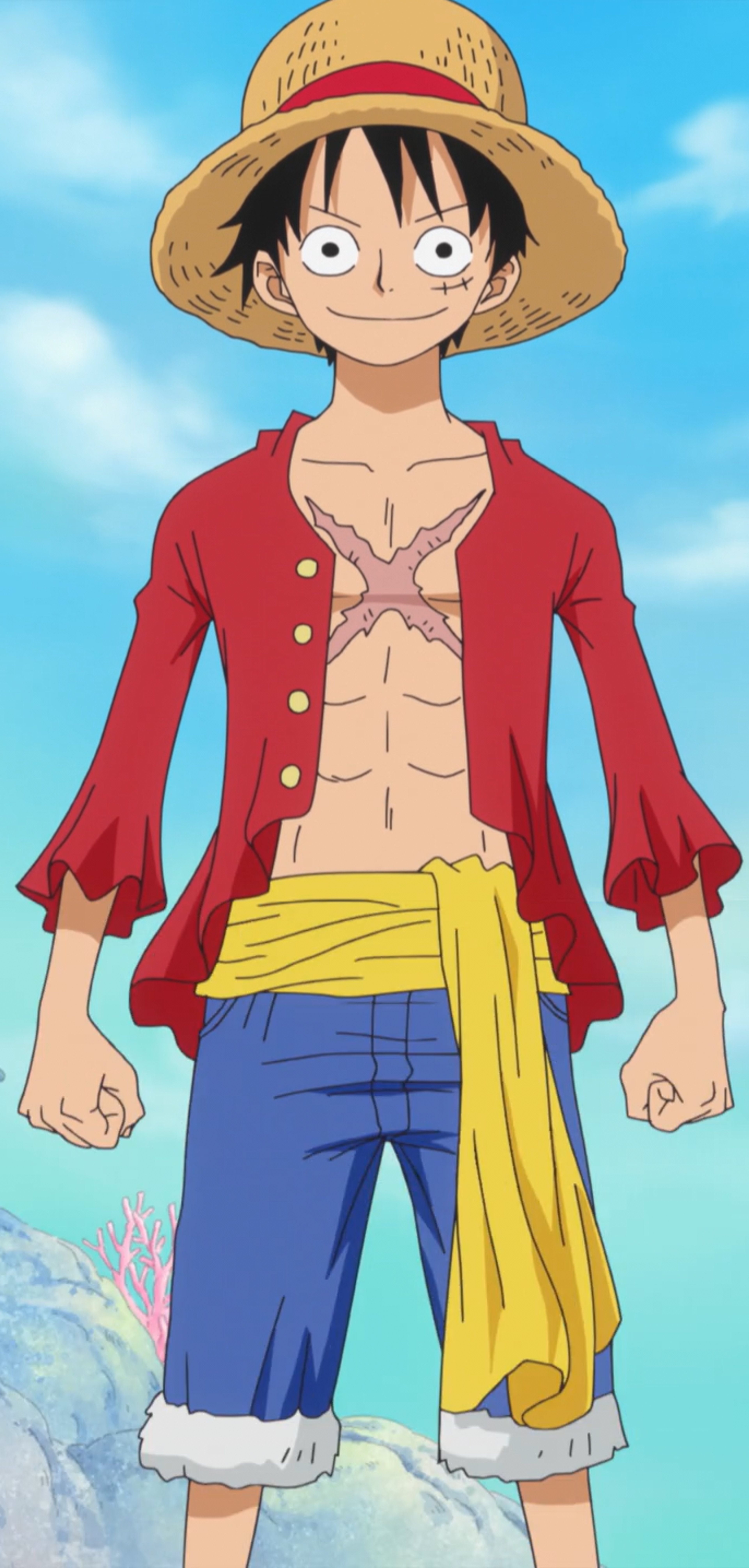 Born in Foosha Village and ate the Gum Gum fruit,Grandson of legendary Marine Garp,Trained with Ace and Sabo as a kid,Witnessed Ace's death at Marineford