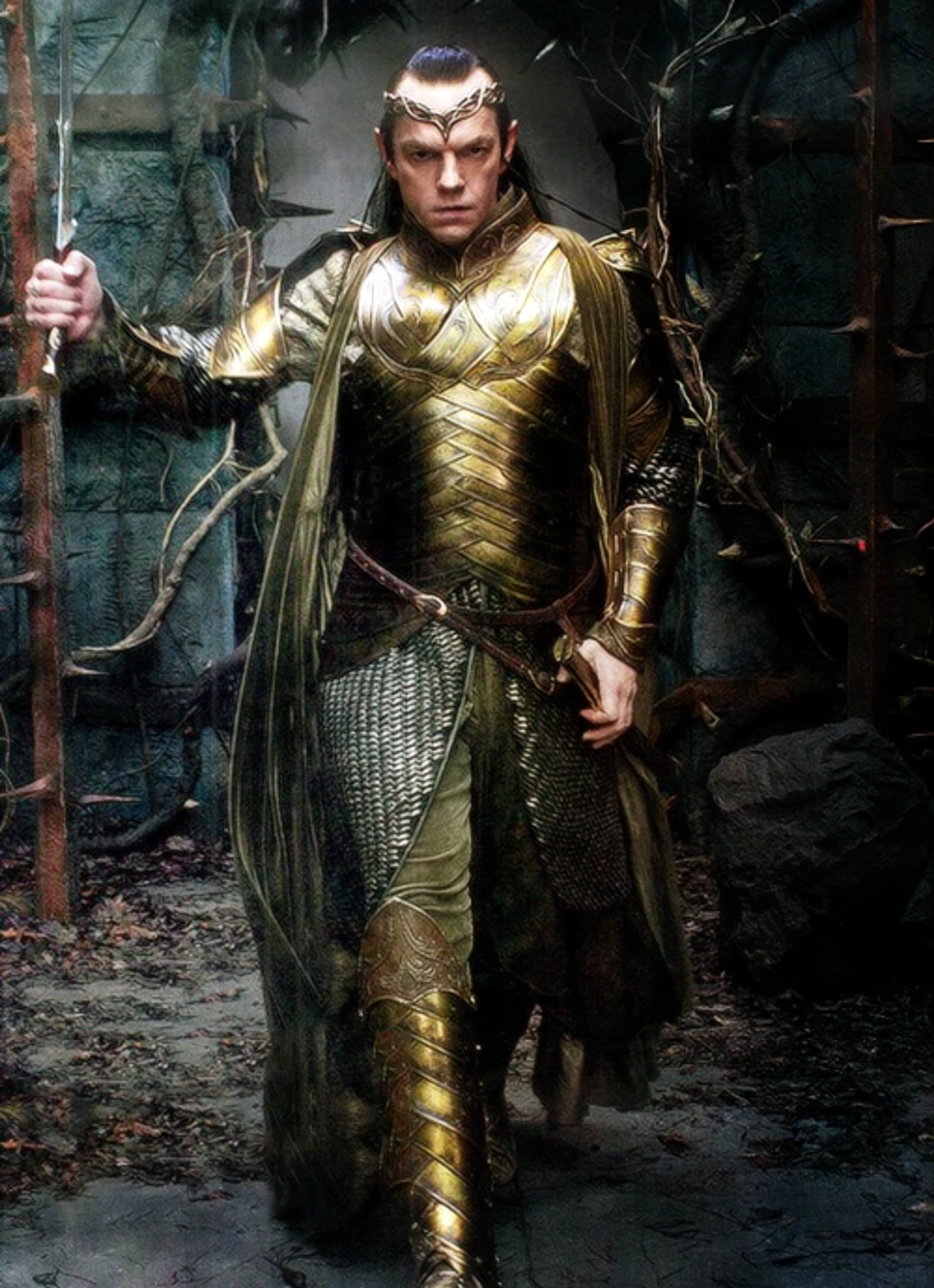 A male Elven character in golden armor and a green cloak, holding a sword.
