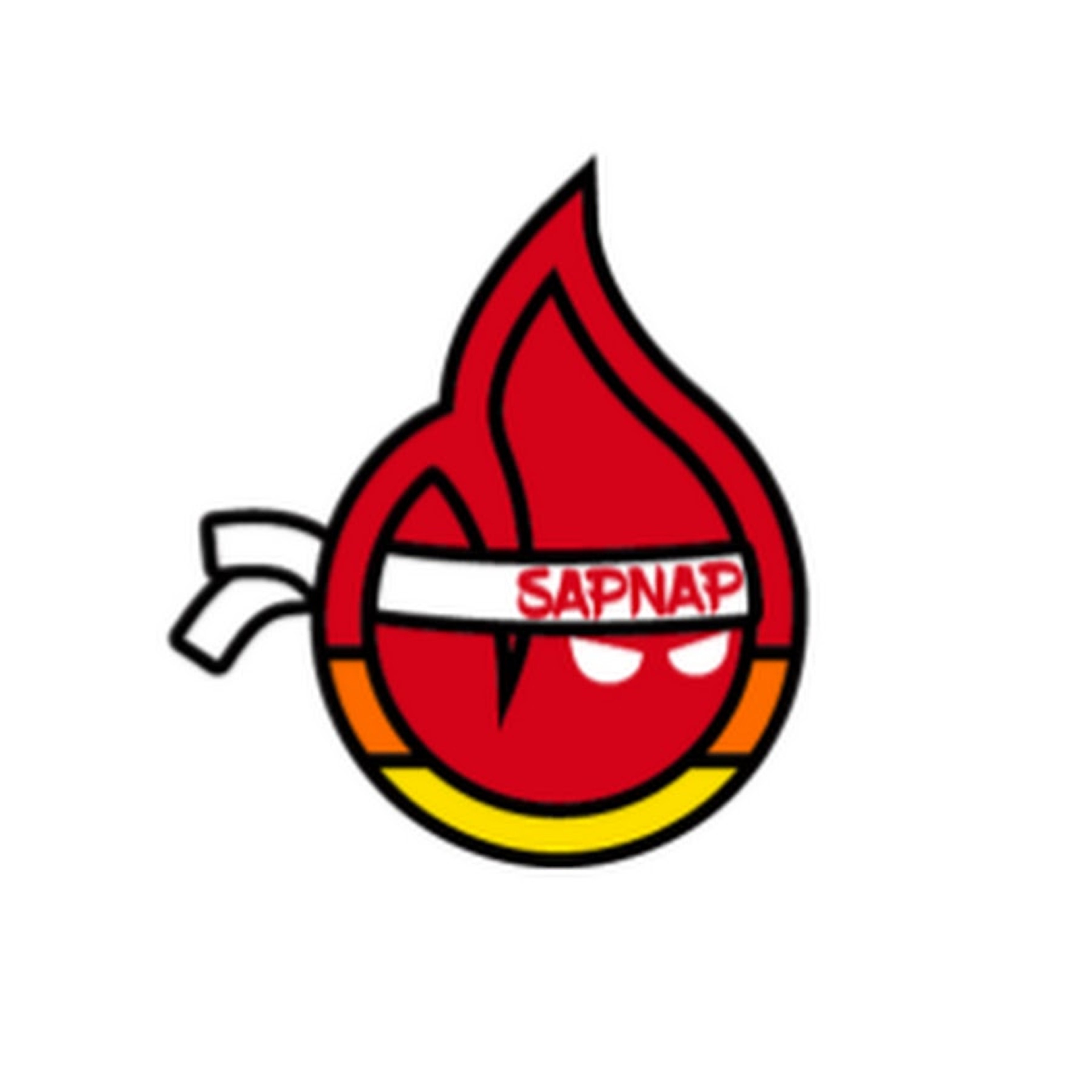 A stylized red flame-like icon with the text 'SAPNAP'
