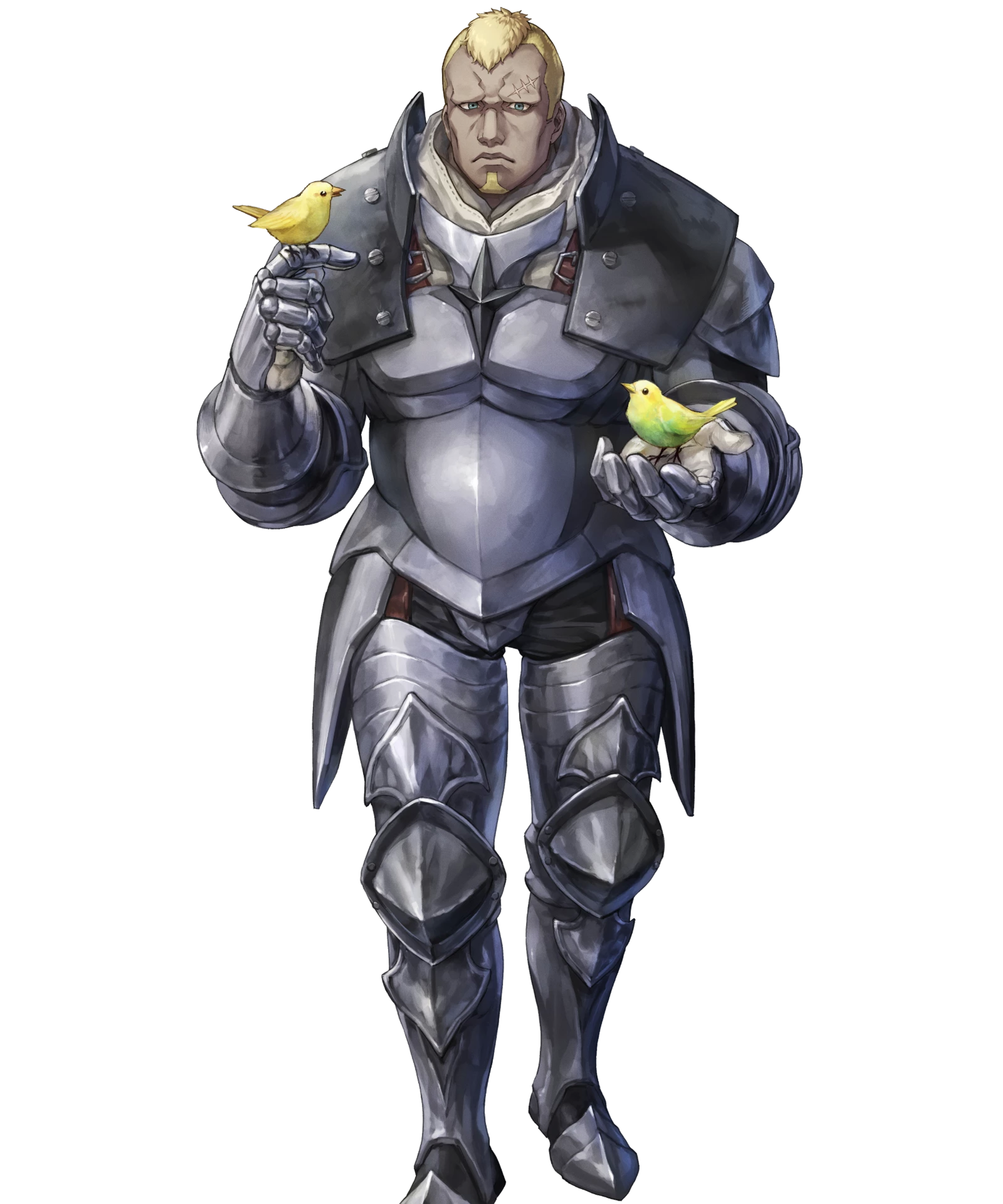 Muscular Nohrian border guard with a gentle demeanor