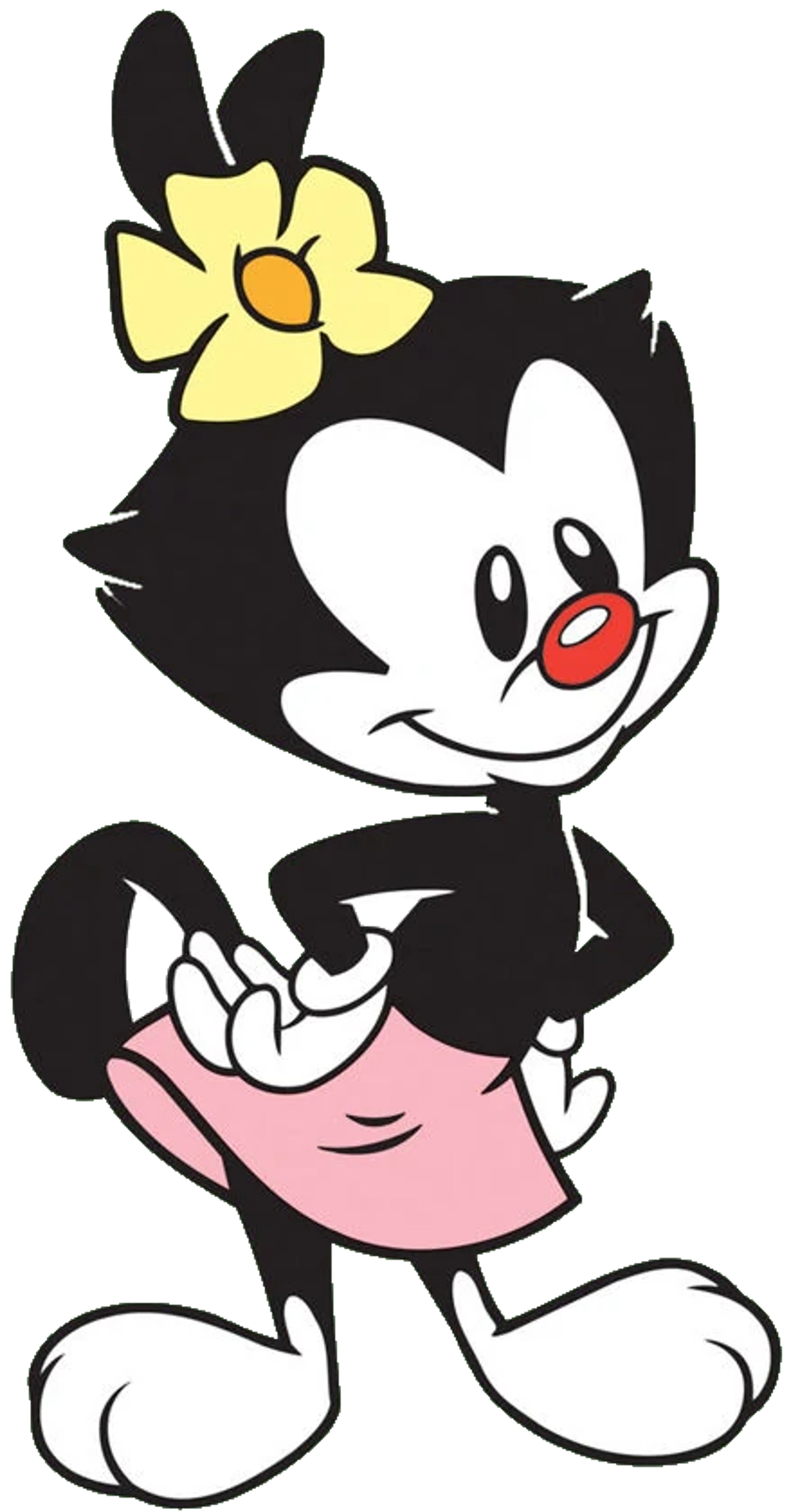 Created in 1929 by animator Lon Borax during a late-night drawing session at Warner Bros. Studios.,Starred in various cartoons alongside her brothers from 1929-1933, becoming Hollywood sensations.,After causing too much chaos at the studio (including pantsing Jimmy Cagney), she and her brothers were captured and locked in the Water Tower.,Spent 60 years locked in the Water Tower, with occasional escapes during fumigations.,Escaped permanently in 1993 and began starring in her own show, Animaniacs.,Received her own recurring segment called 'Dot's Poetry Corner' where she recites twisted versions of children's rhymes.