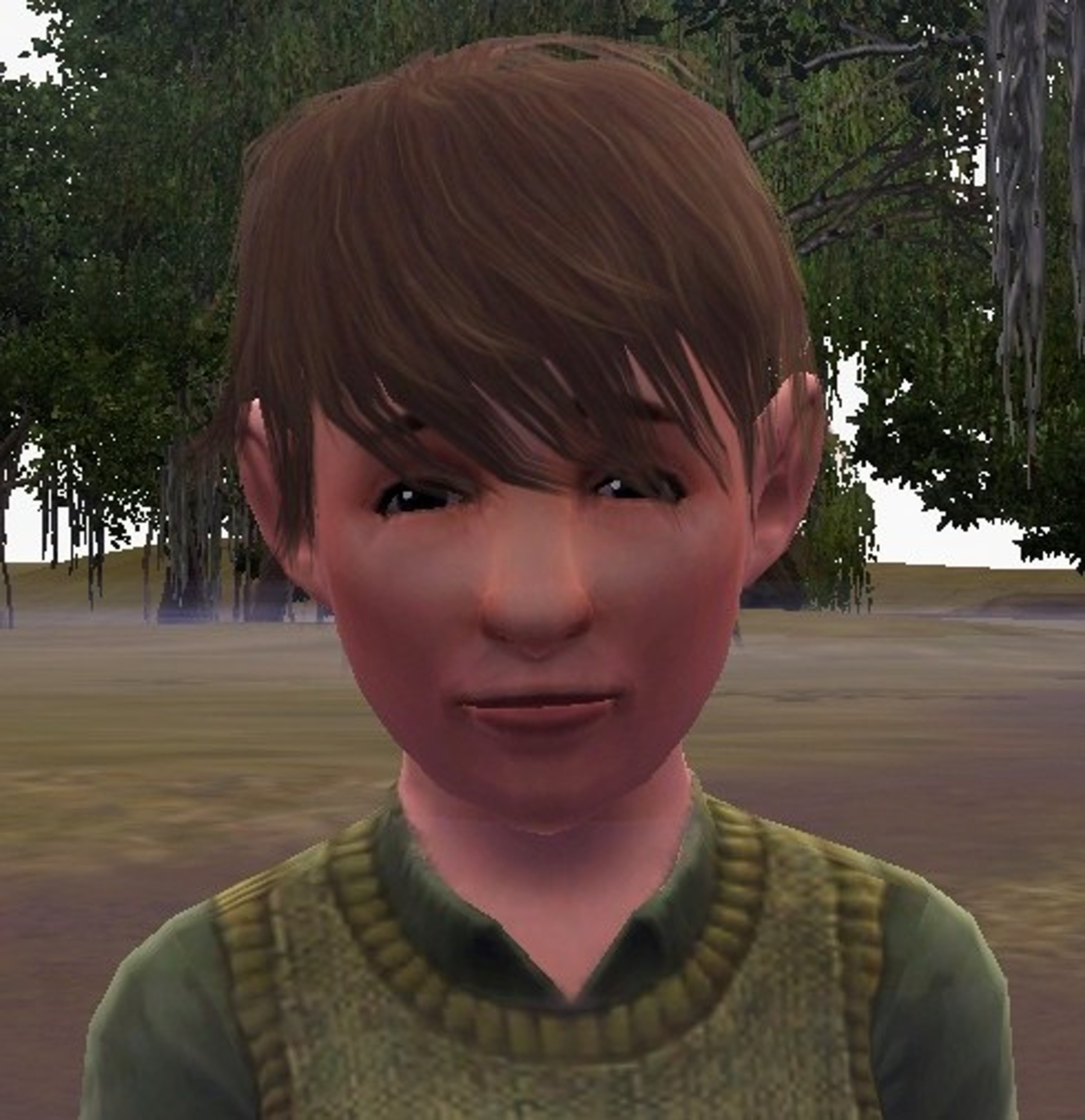 A young man with light brown hair and blue eyes wearing a green sweater