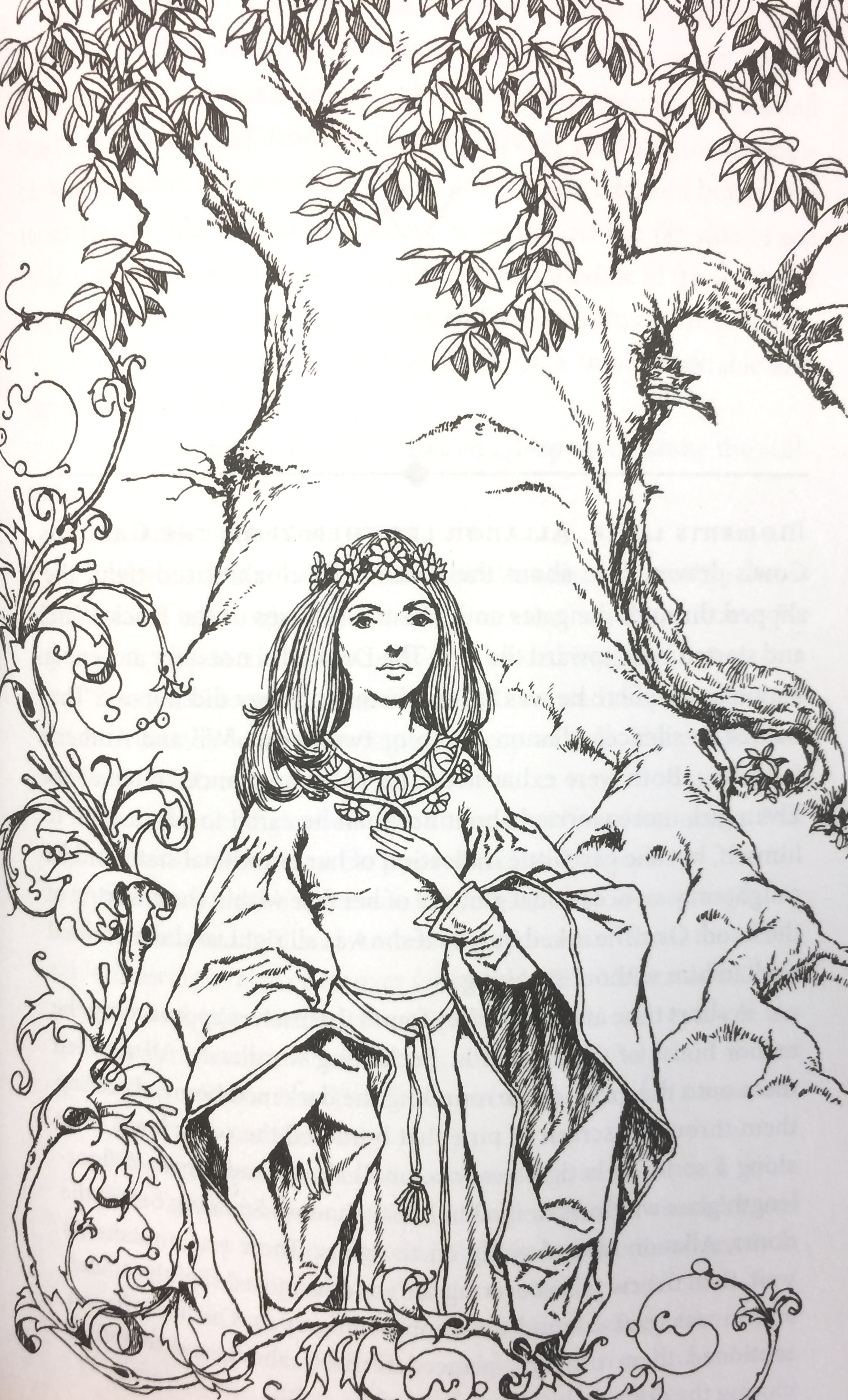 Illustration of a young woman in a medieval-style dress and crown, surrounded by fantastical foliage.