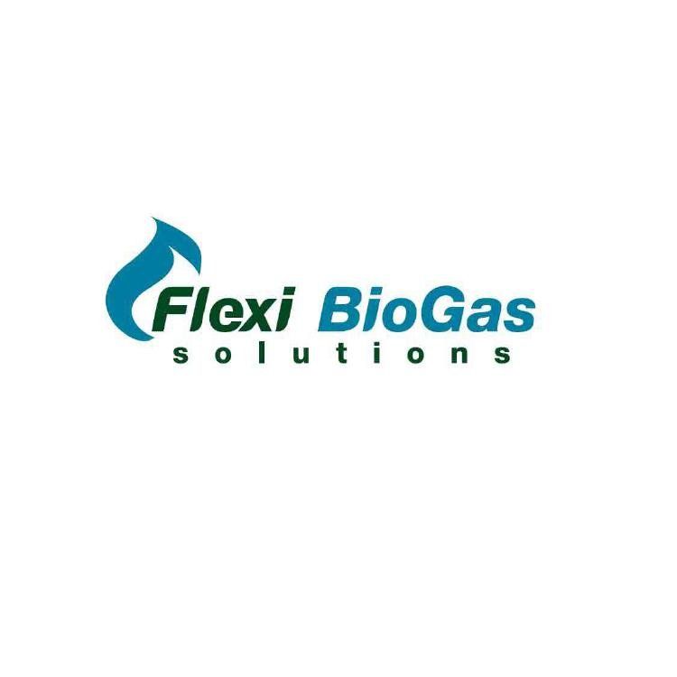 Biogas International Limited