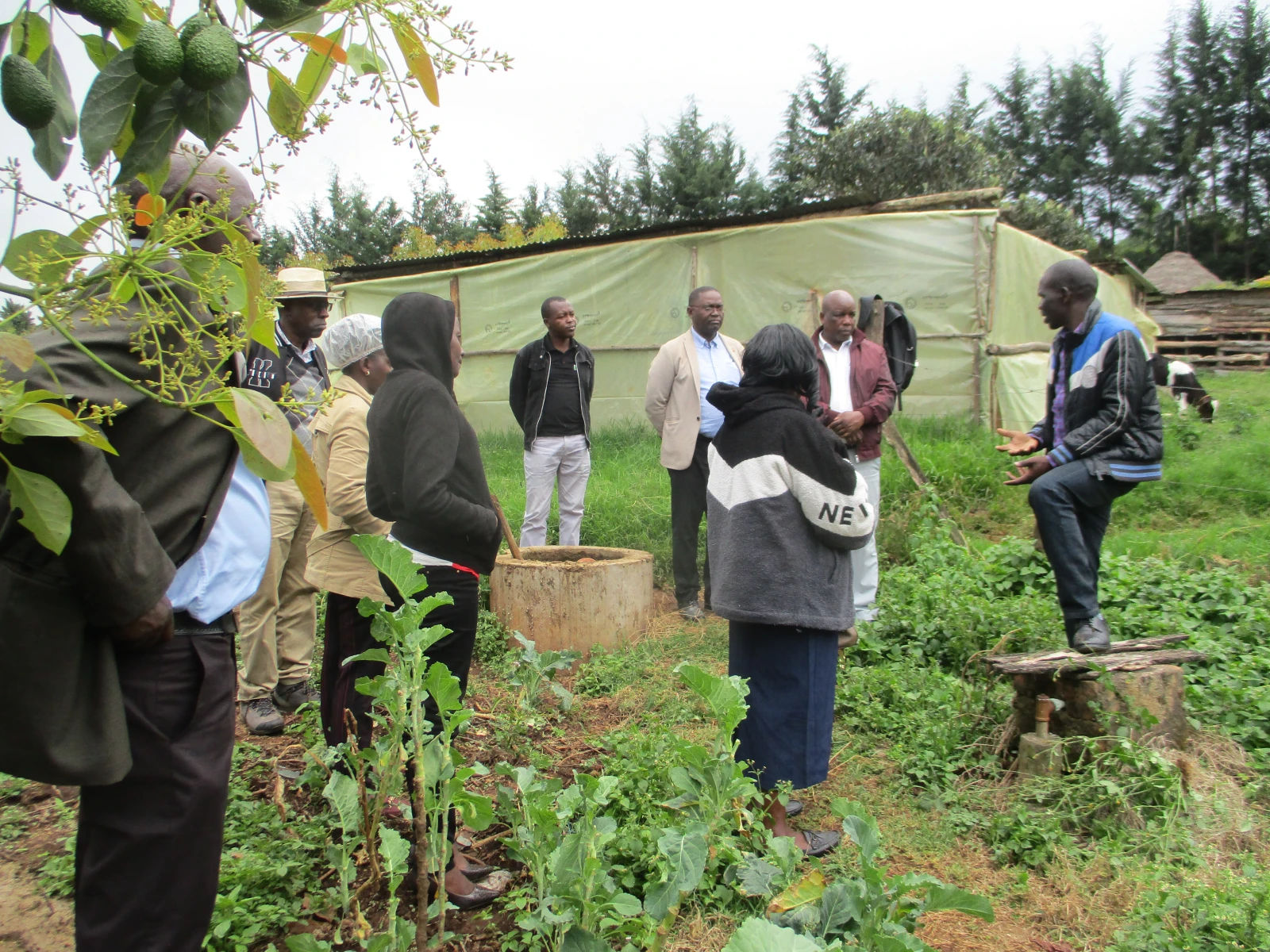Strengthening Financial Support for the Biodigester Sector