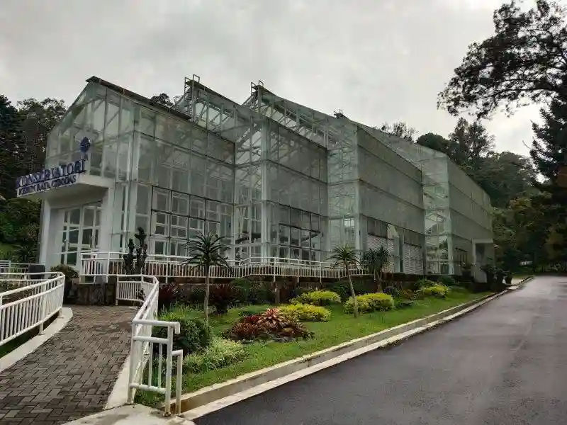 Rumah-Kaca-1.webp