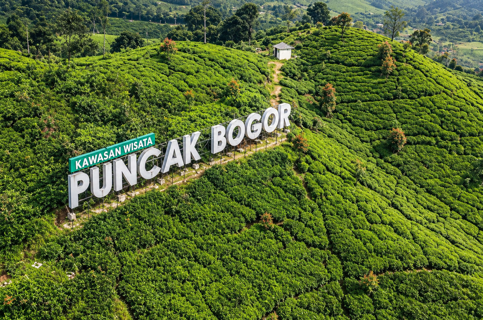 Wisata Puncak yang Buka Pagi, Cocok Biar Nggak Kena Macet Siang