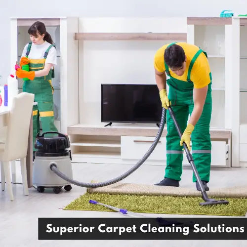 Area Rug Cleaning in USA