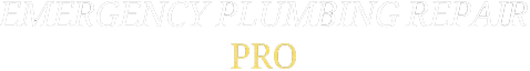 Ottawa Illinois Emergency Plumbing Repair Pros Ottawa Illinois Emergency Plumbing Repair Pros Logo