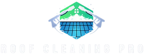USA Roof Cleaning Pros