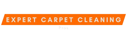 USA Expert Carpet Cleaning Pros