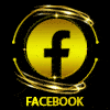 Pacebook VIOS4D