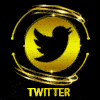 Twitter VIOS4D