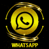 Whatsapp VIOS4D