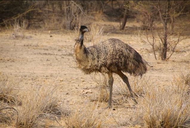 Jurassic Period Fossil Site